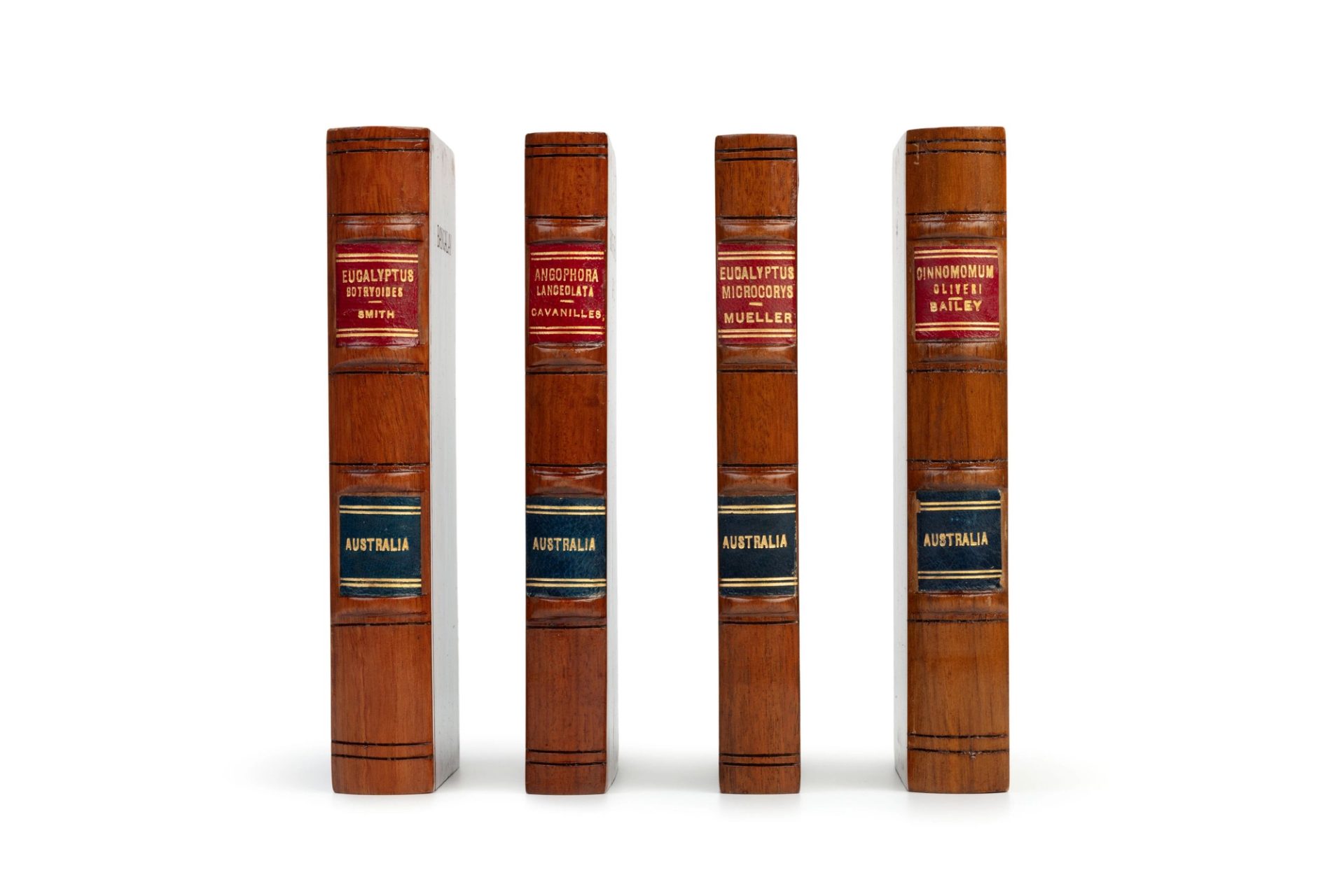 95 samples of Australian timbers carved into the form of closed reference books