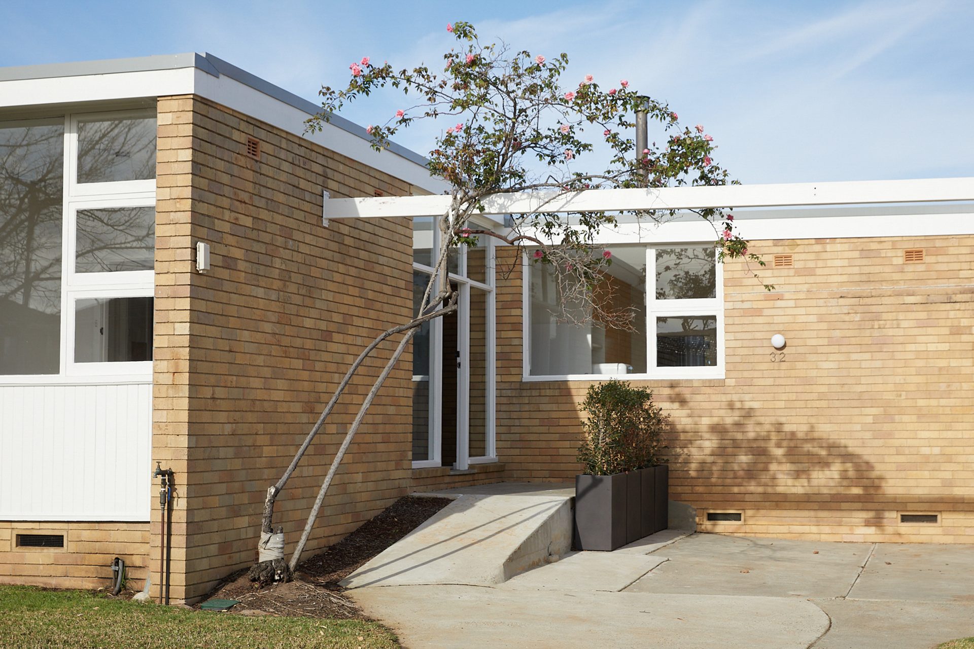 Ramp to a doorway with a tree outside a house