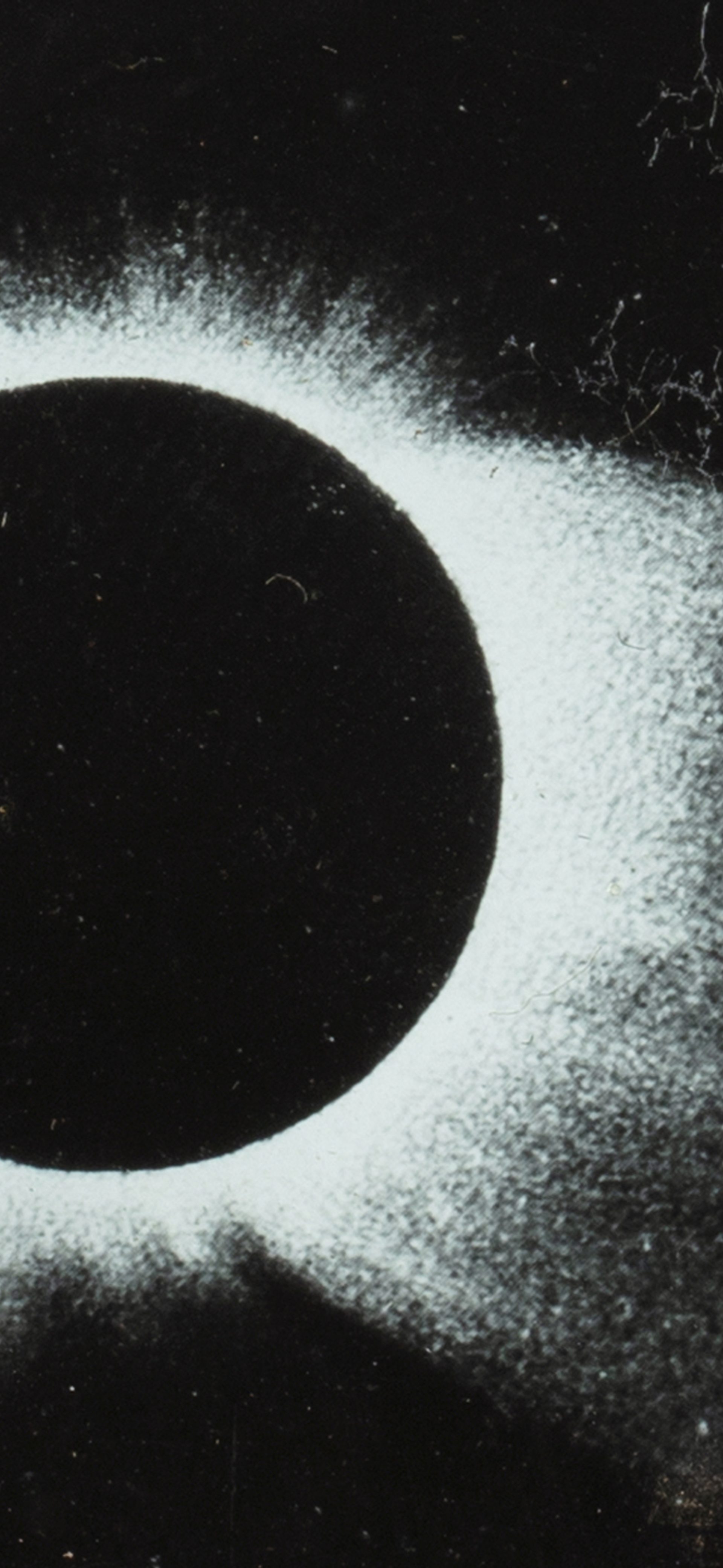 Sky Guide October 2025