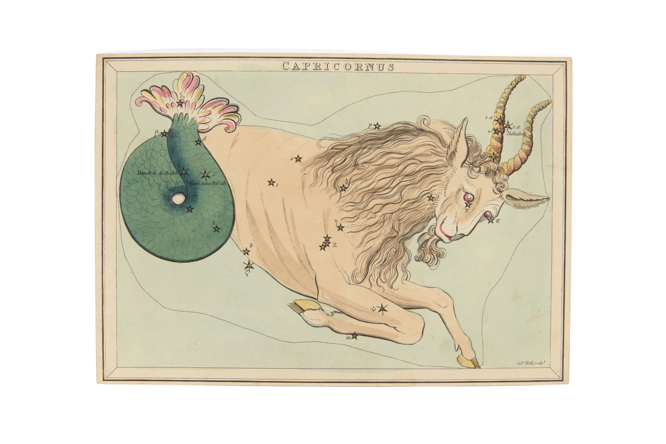 Capricornus playing card