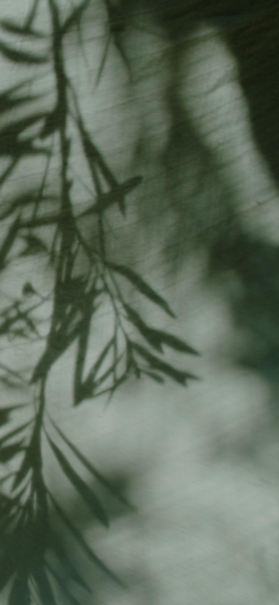 Shadows of tree branches on fabric