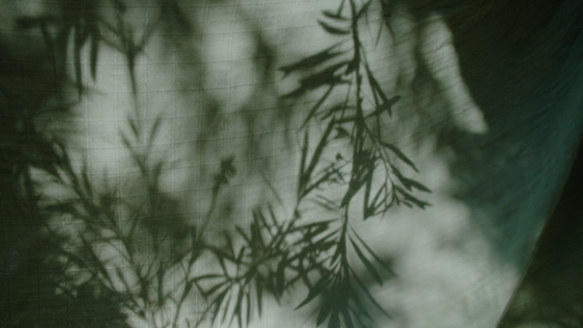 Shadows of tree branches on fabric