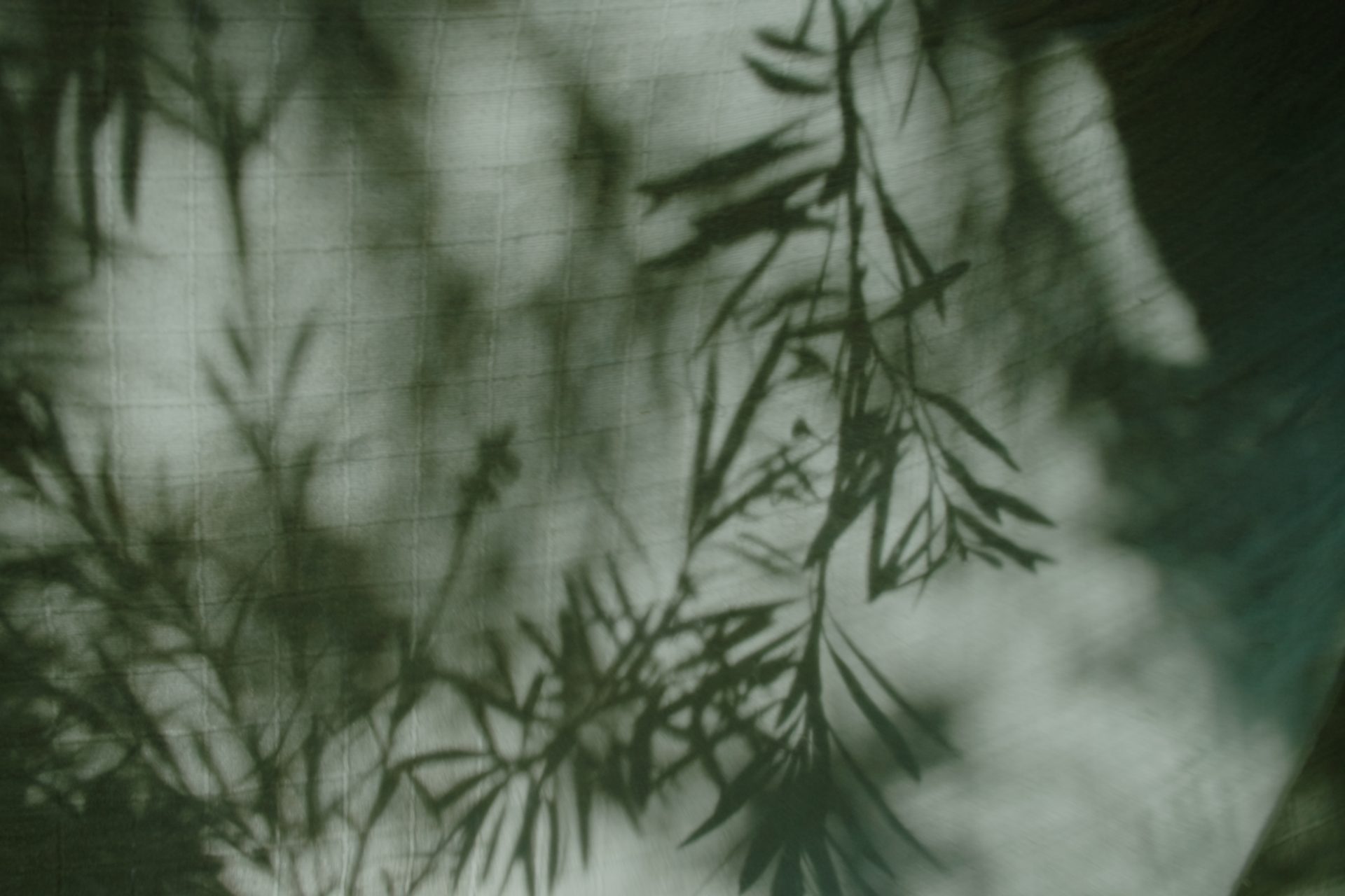 Shadows of tree branches on fabric