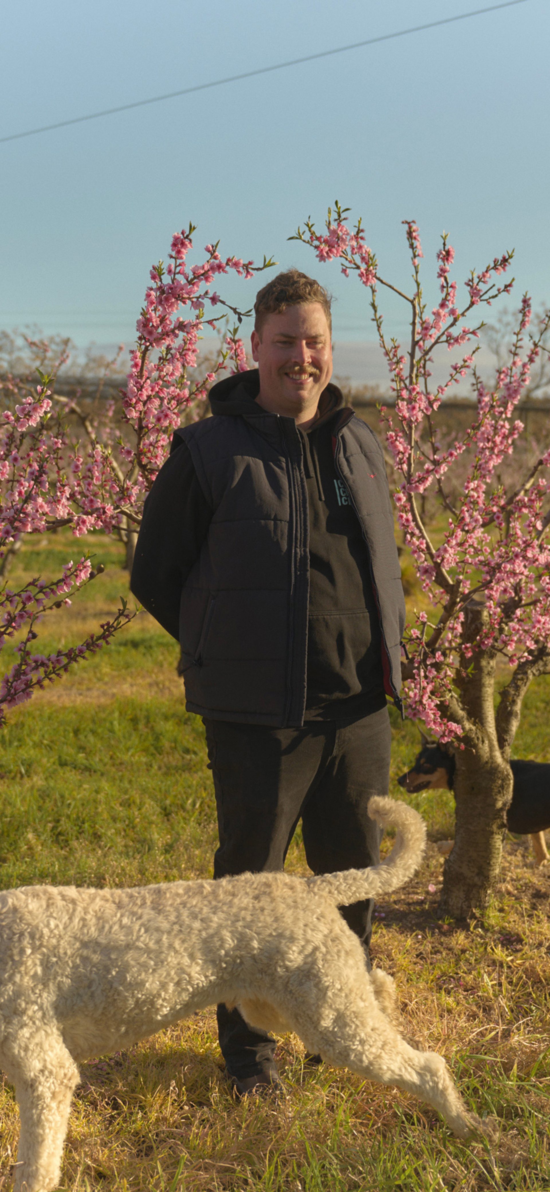 Fruit, Juice and Cider | Cedar Creek Orchard