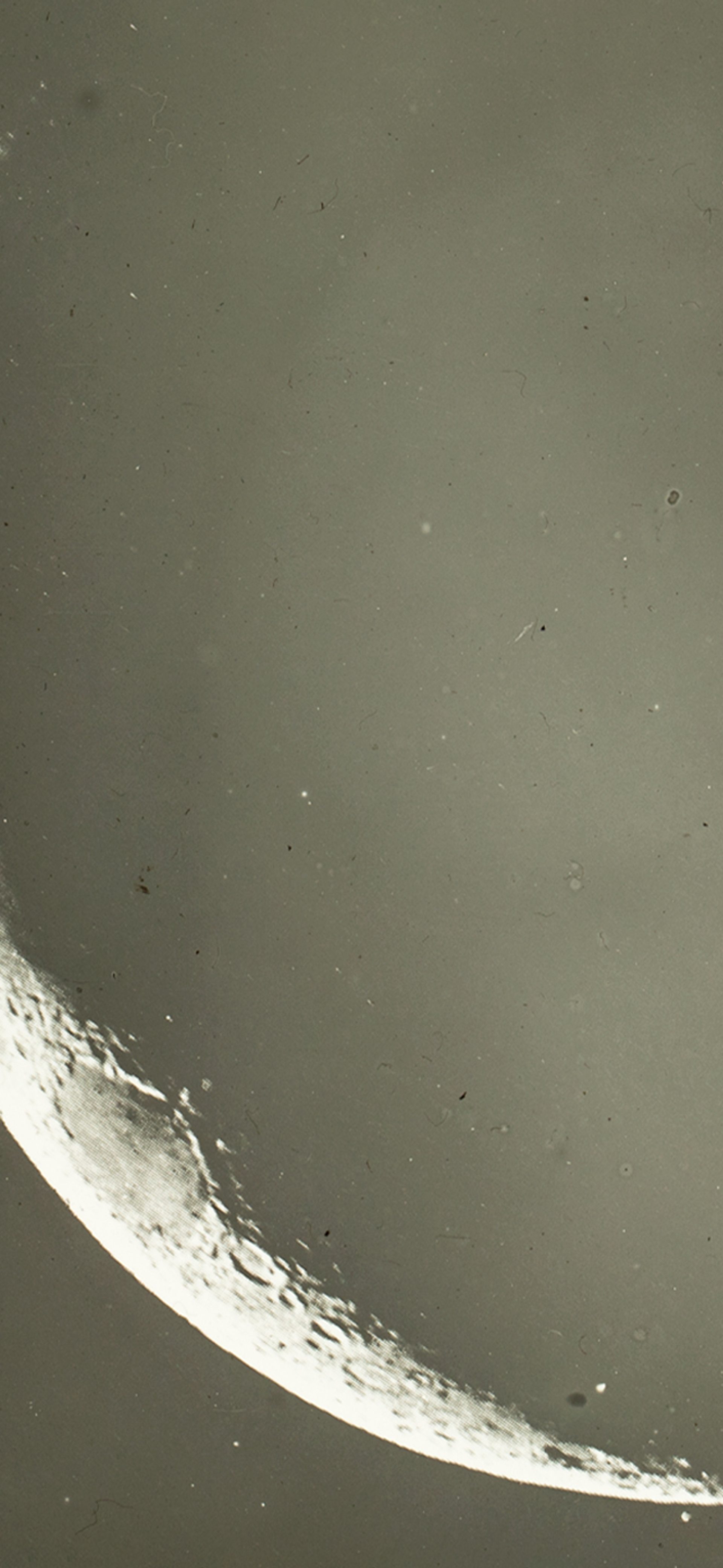 Sky Guide April 2026