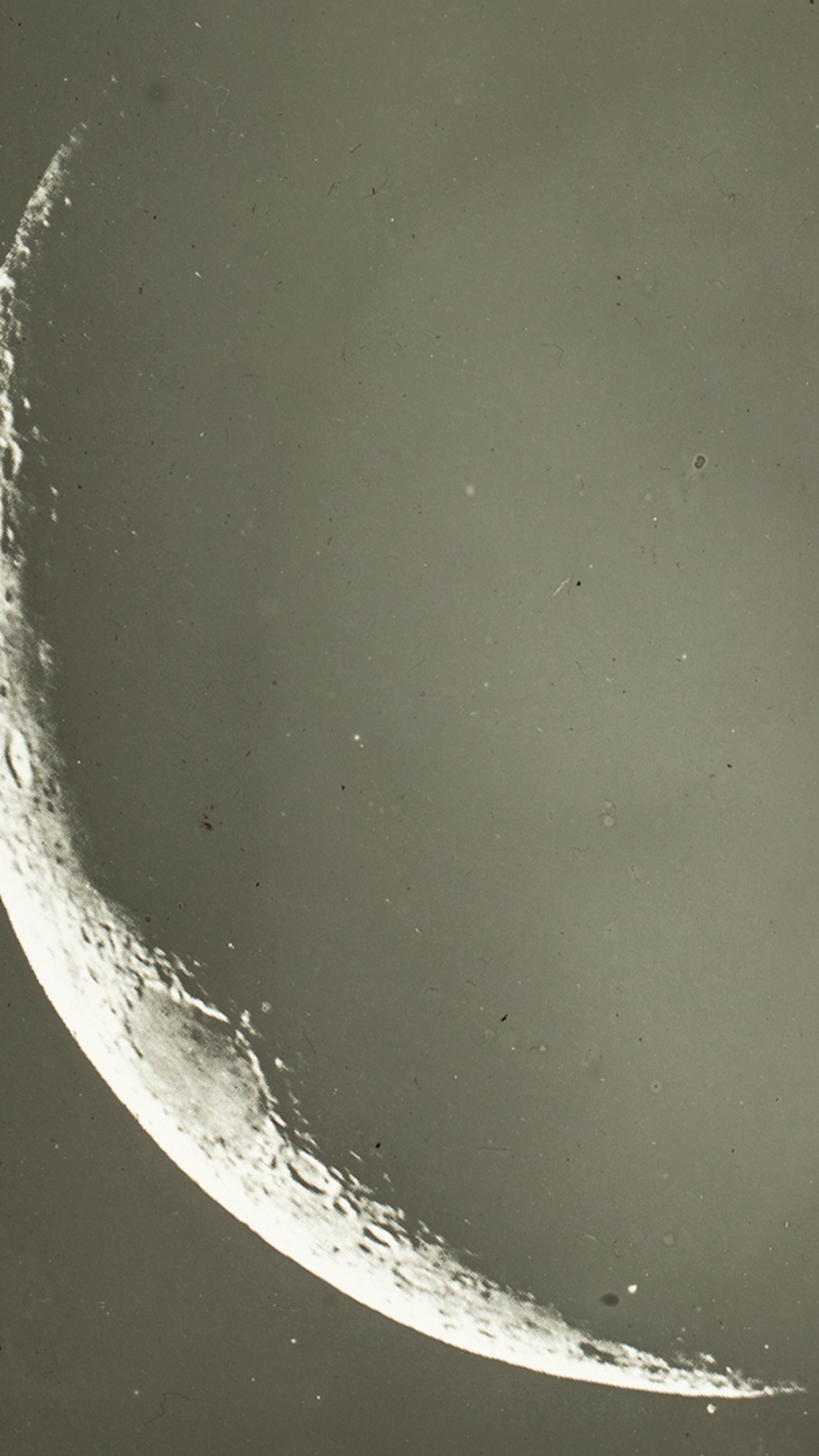A close up of a glass plate slide showing a thin crescent moon.