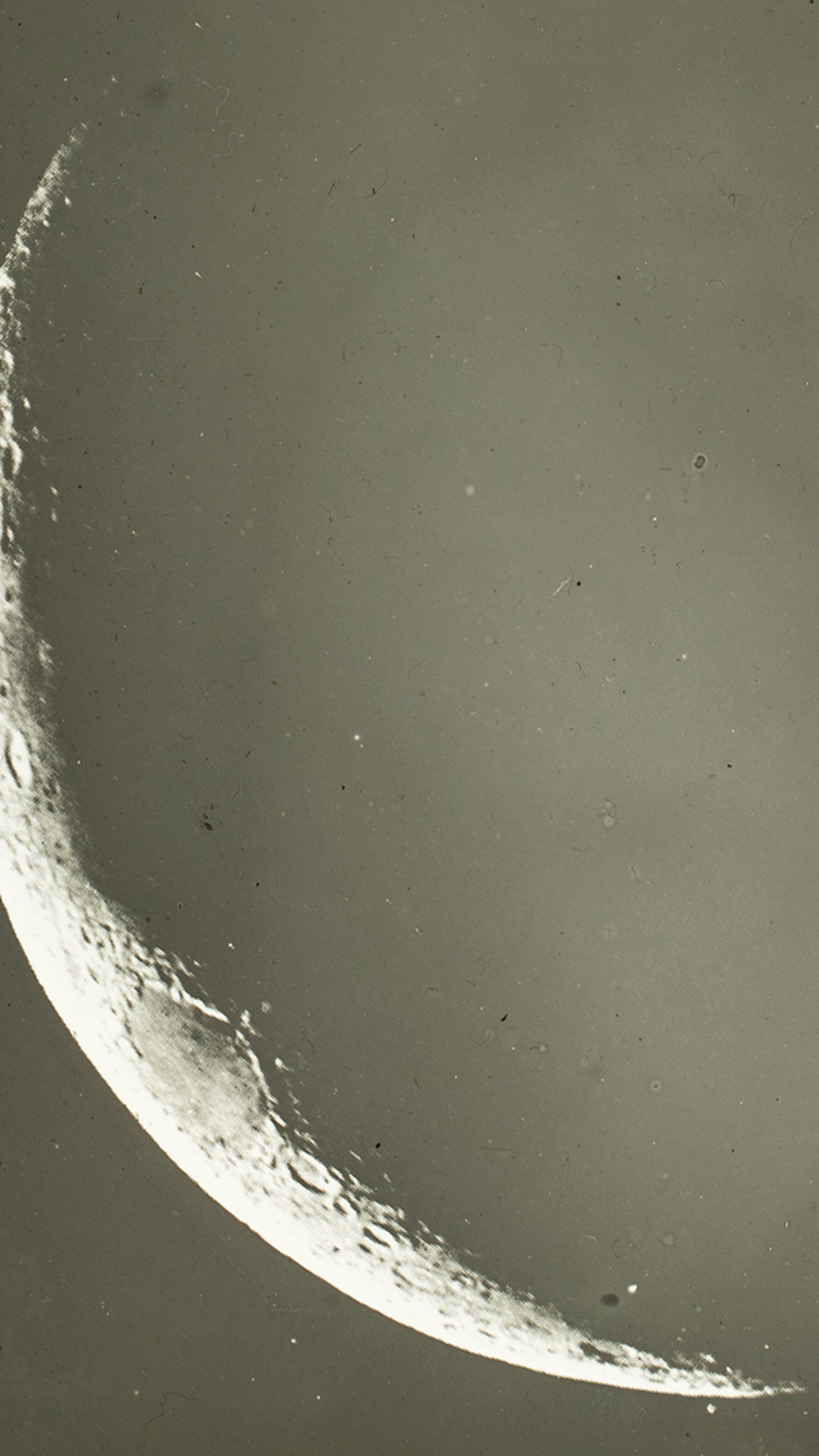 A close up of a glass plate slide showing a thin crescent moon.