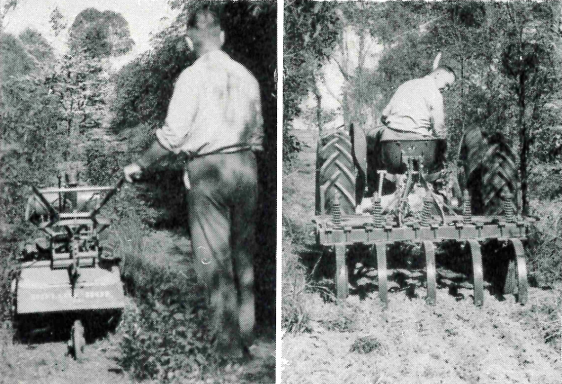 Two black and white photographs side by side of a man cultivating eucalypt