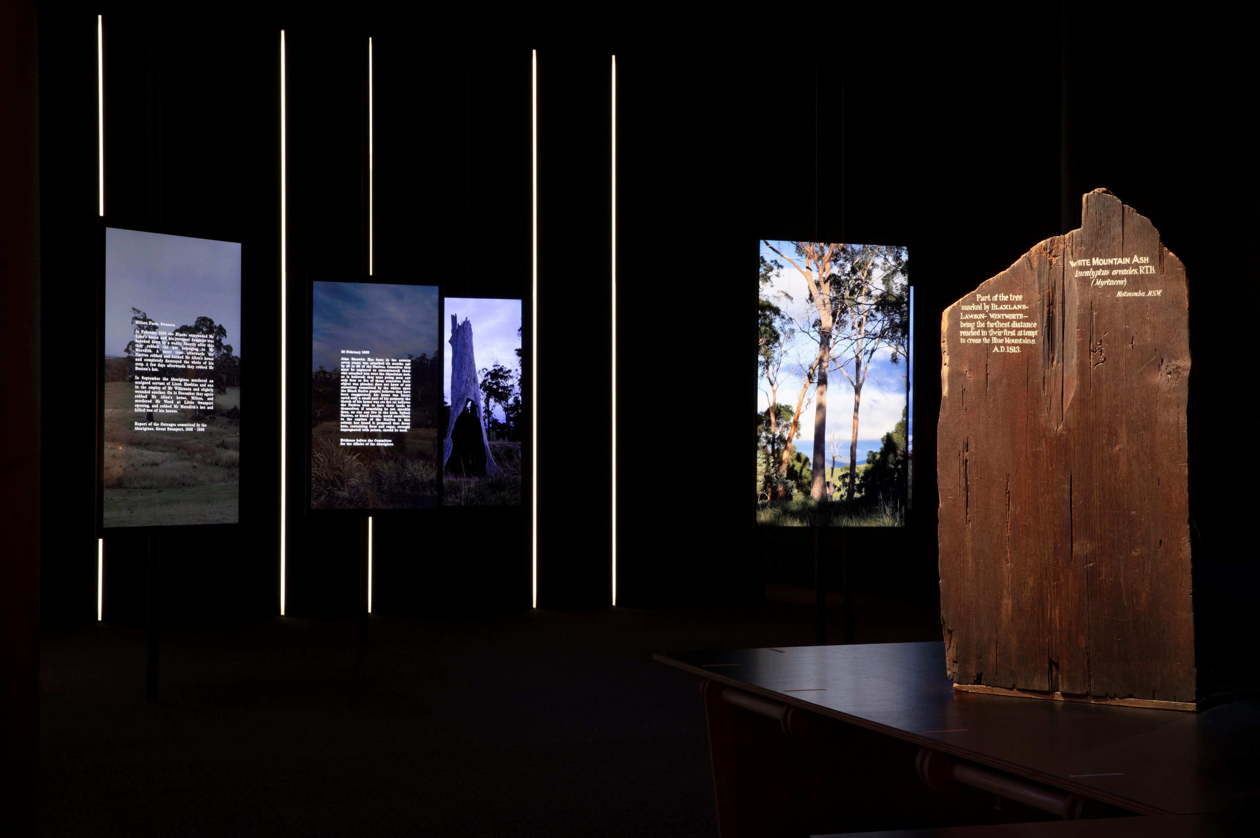 Four screens with images of trees and the first two with text overlaid. To the right a large slab on wood stands upright with white text written on it.