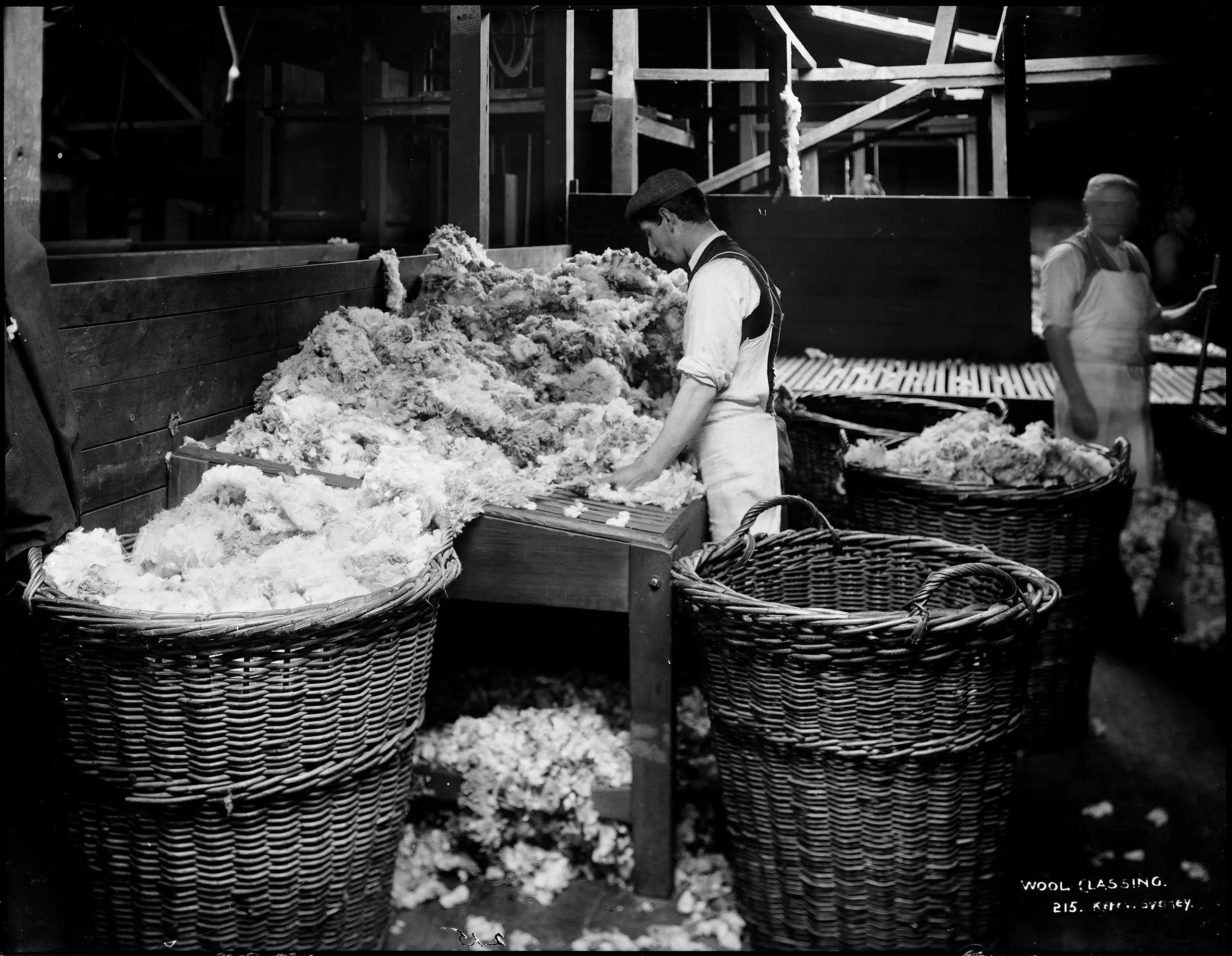 Silver gelatin dry plate glass negative in landscape format. The caption, studio number and studio mark are inscribed on the reverse of the negative.