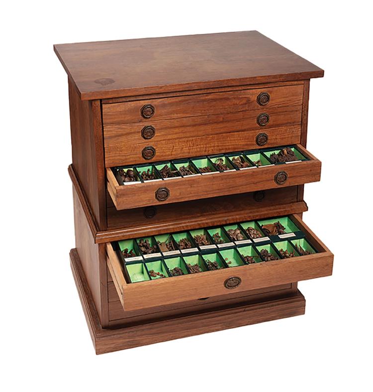 A wooden eucalyptus specimen cabinet. The fourth and seventh drawers are pulled open and contain eucalyptus specimens. The lining of the draws is bright green.