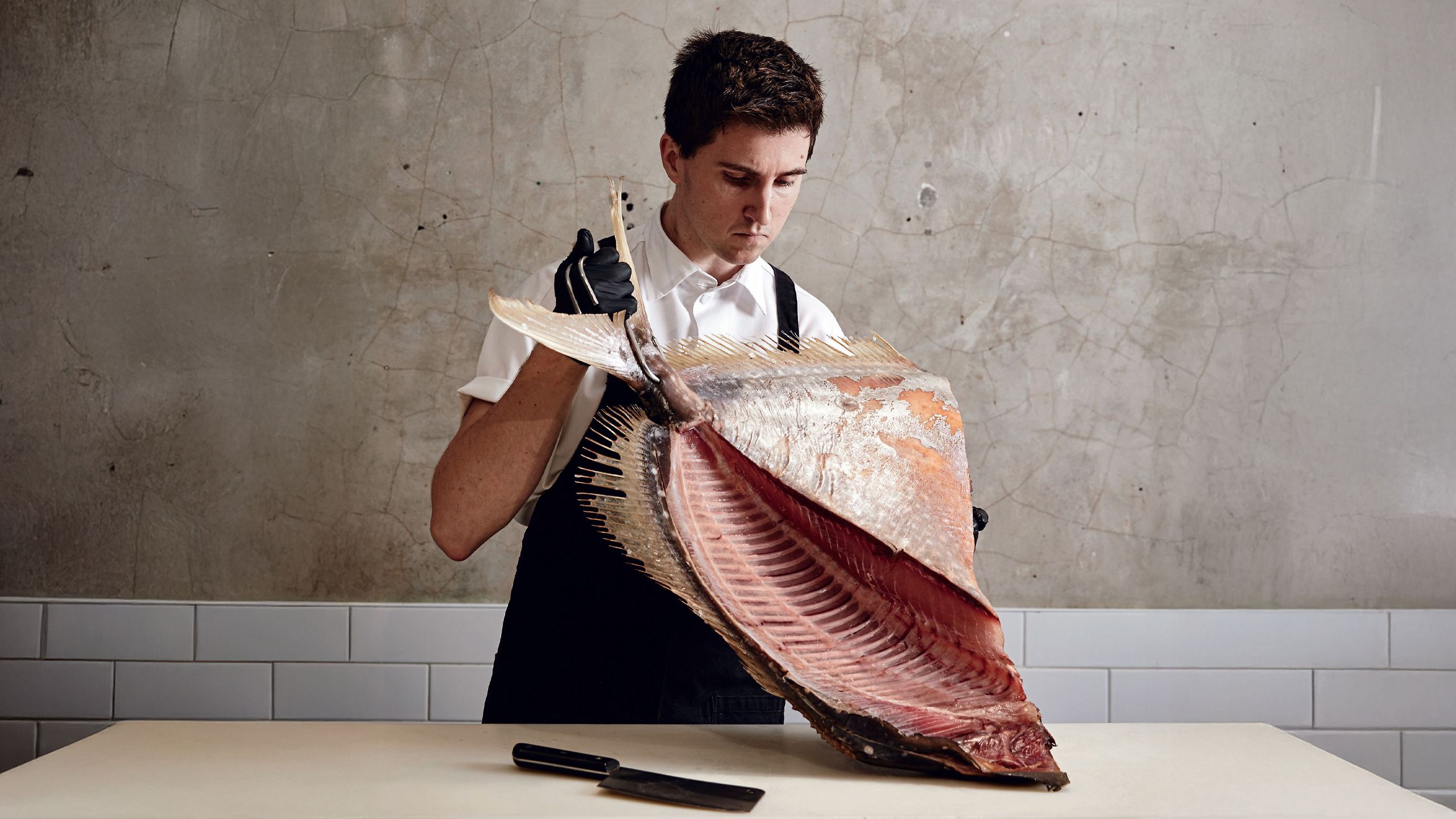 Josh Niland: Scale-To-Tail