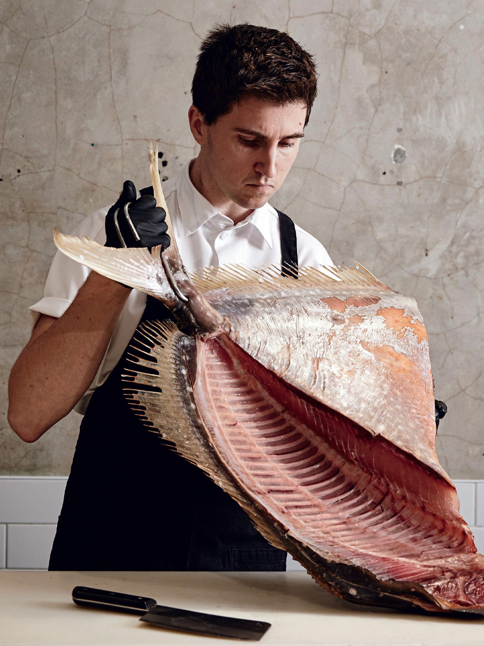Josh Niland: Scale-To-Tail