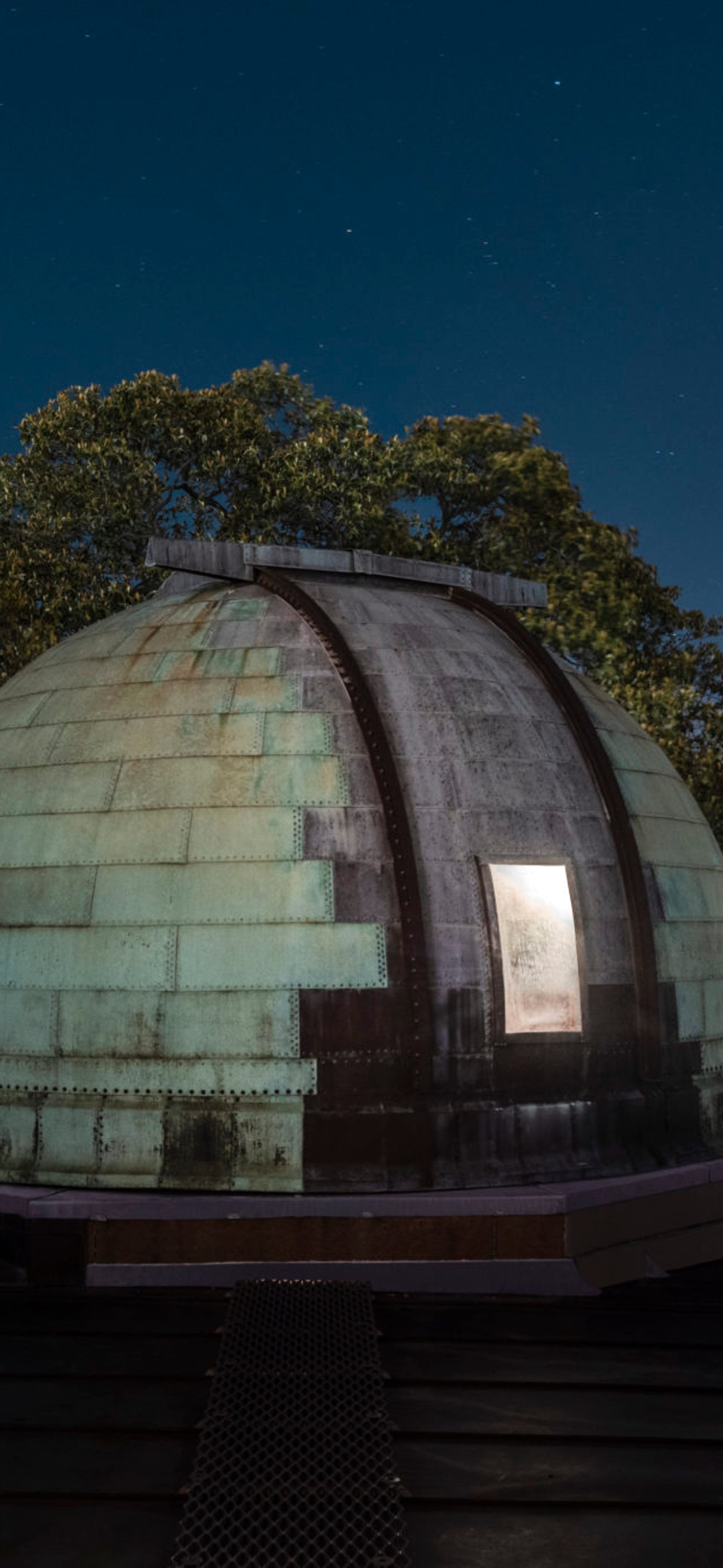 Astronomy Nights
