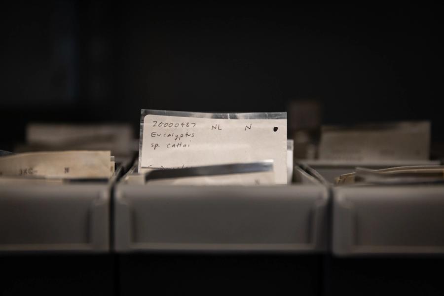 Detail of shelf at Australian PlantBank