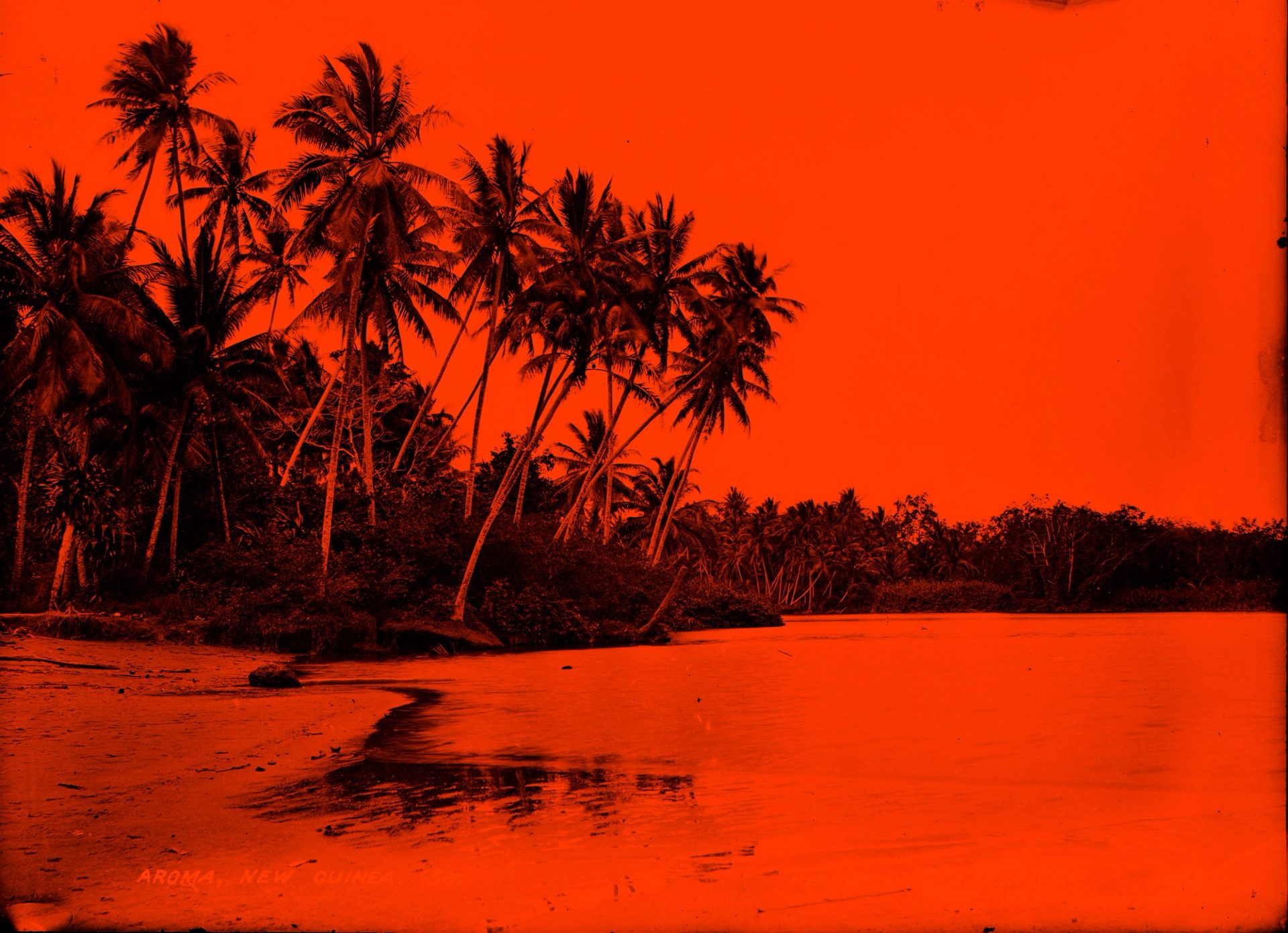 Photographic negative, Aroma coastline, glass / silver / gelatin, published by Kerry and Co,