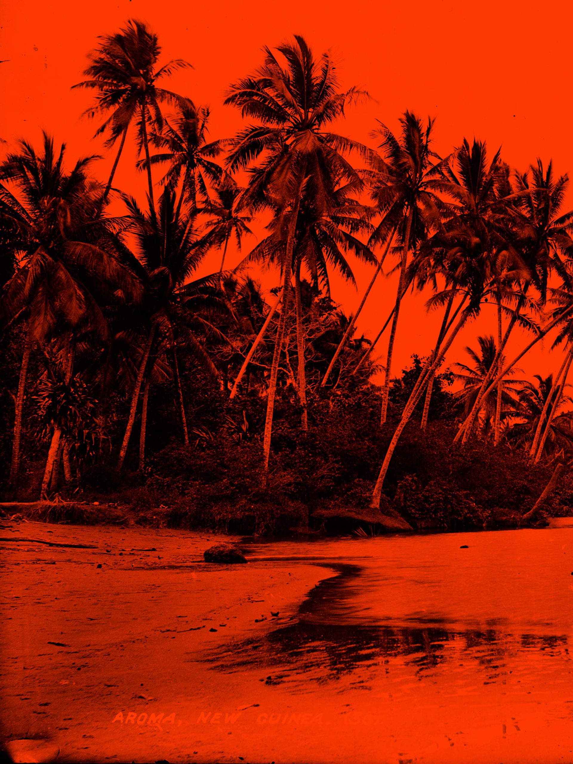 Photographic negative, Aroma coastline, glass / silver / gelatin, published by Kerry and Co,