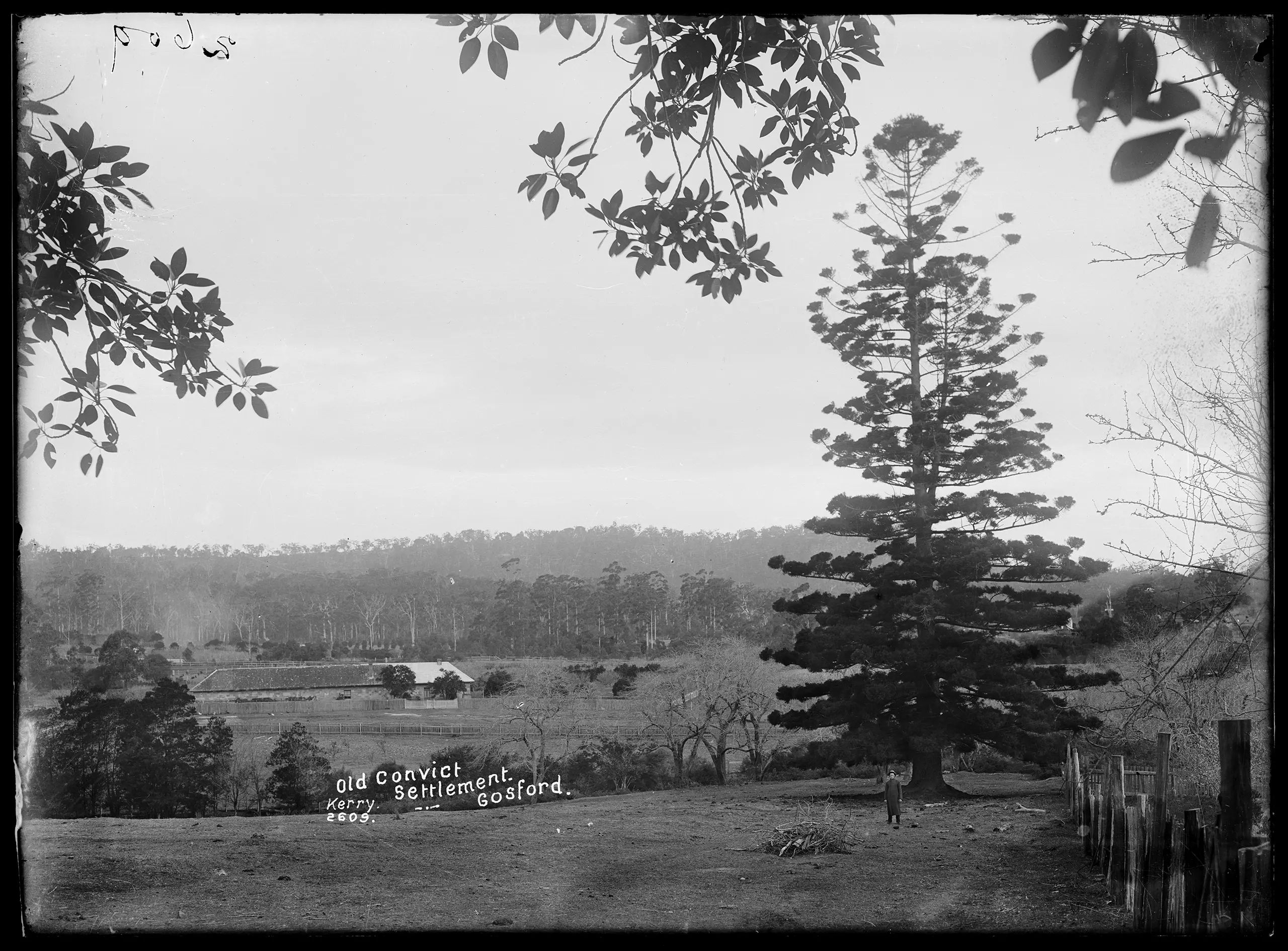 Silver gelatin dry plate glass negative in landscape format. The caption, studio number and studio mark are inscribed on the reverse of the negative.