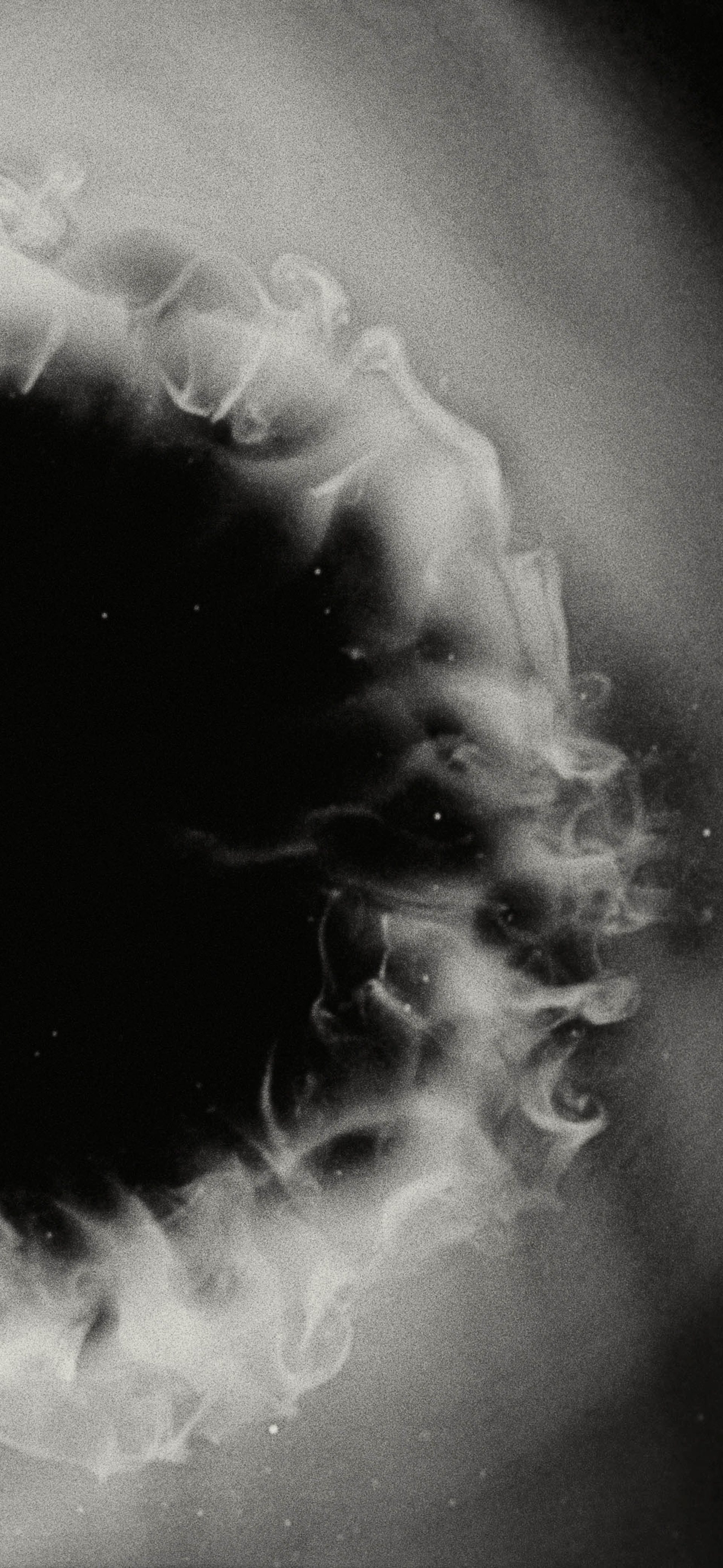 Narelle Autio and Trent Parke In Conversation