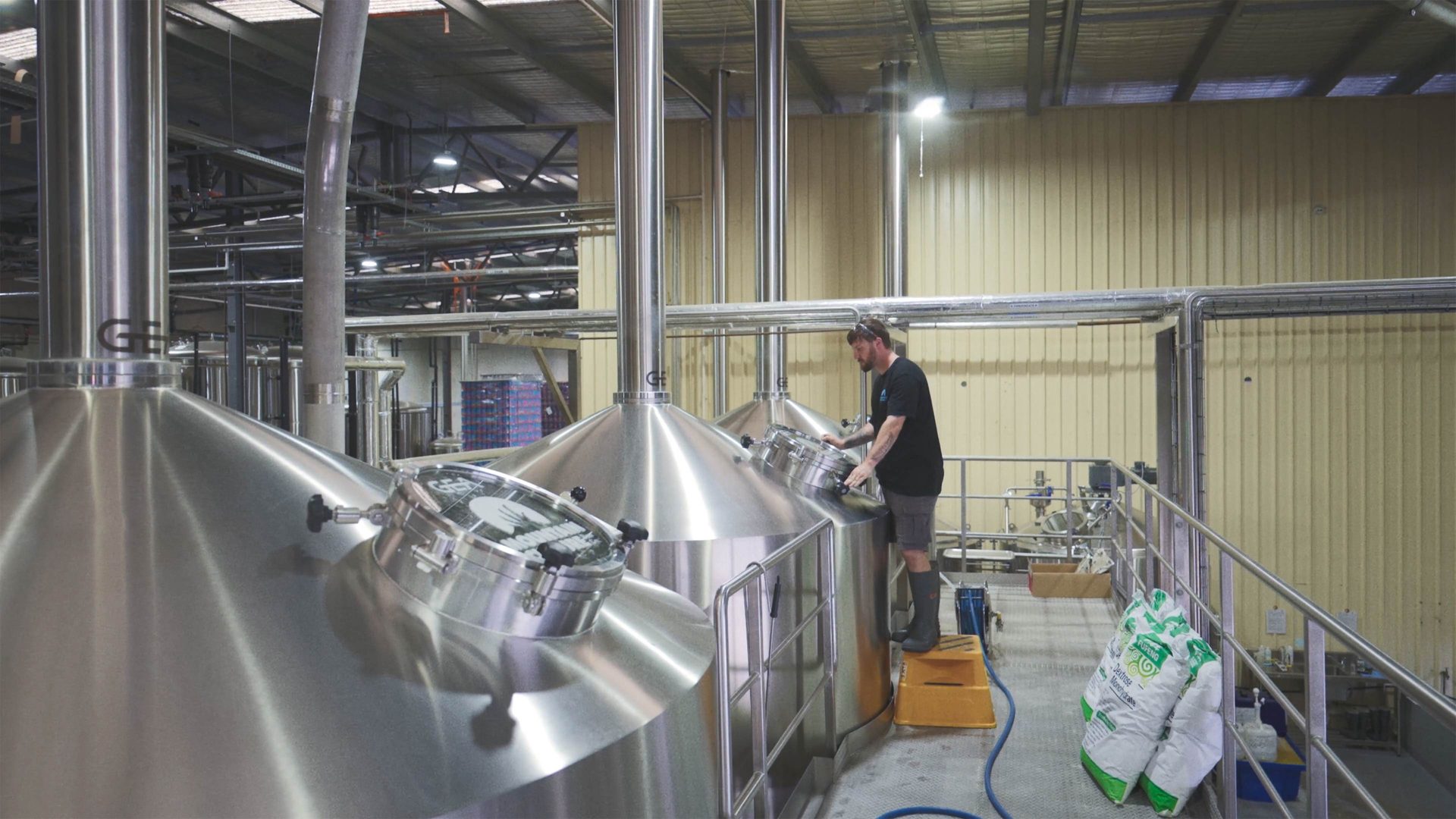 Beer | Mountain Culture