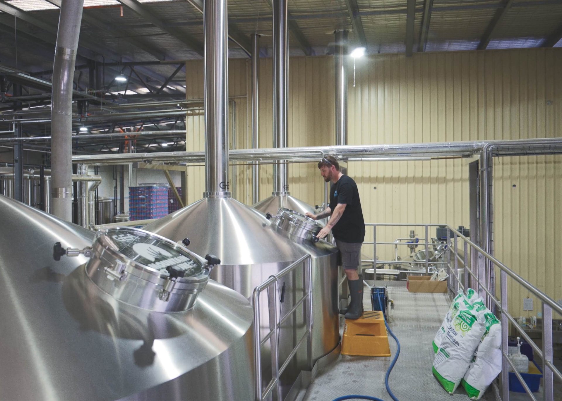 Beer | Mountain Culture