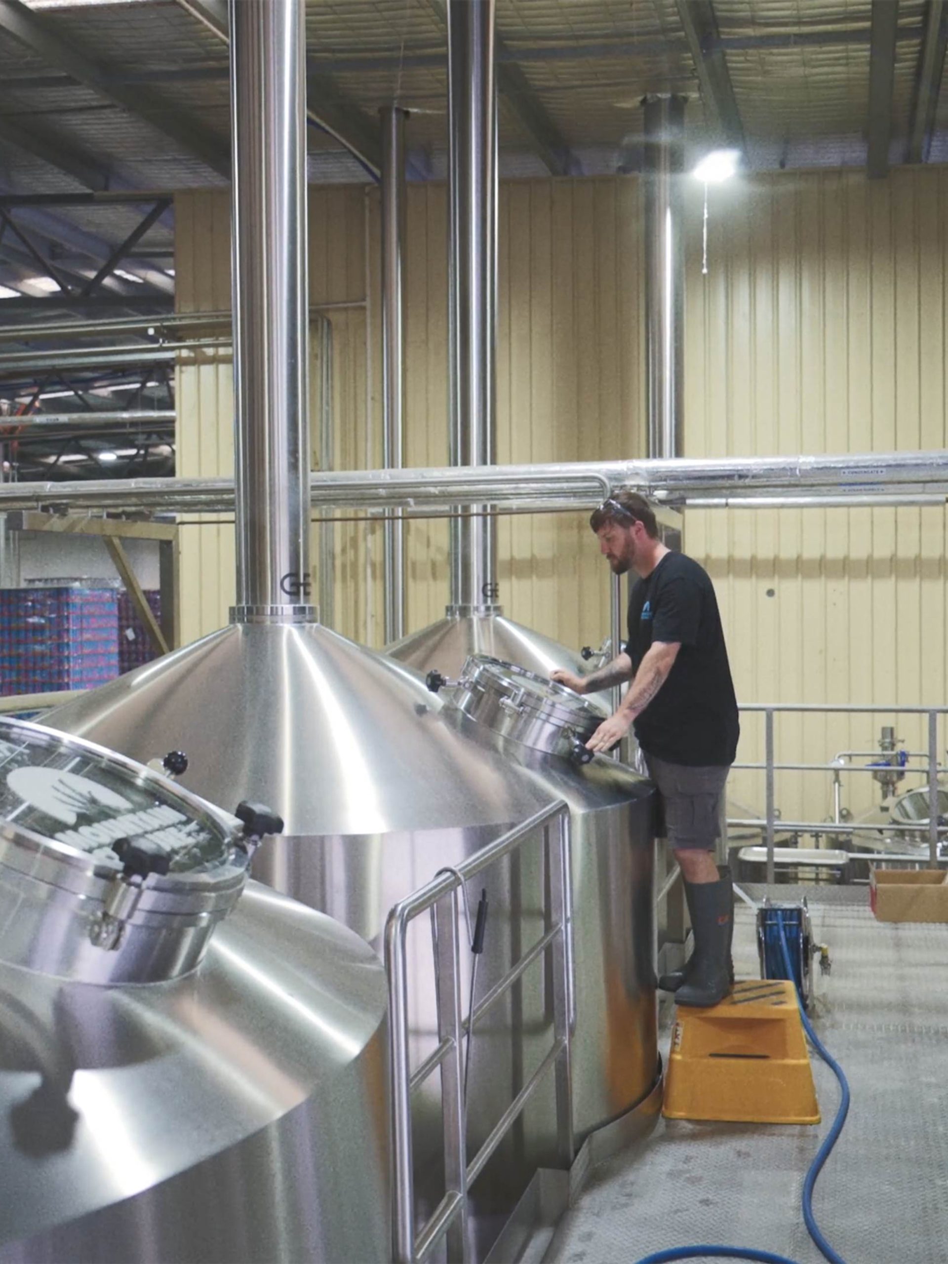 Beer | Mountain Culture