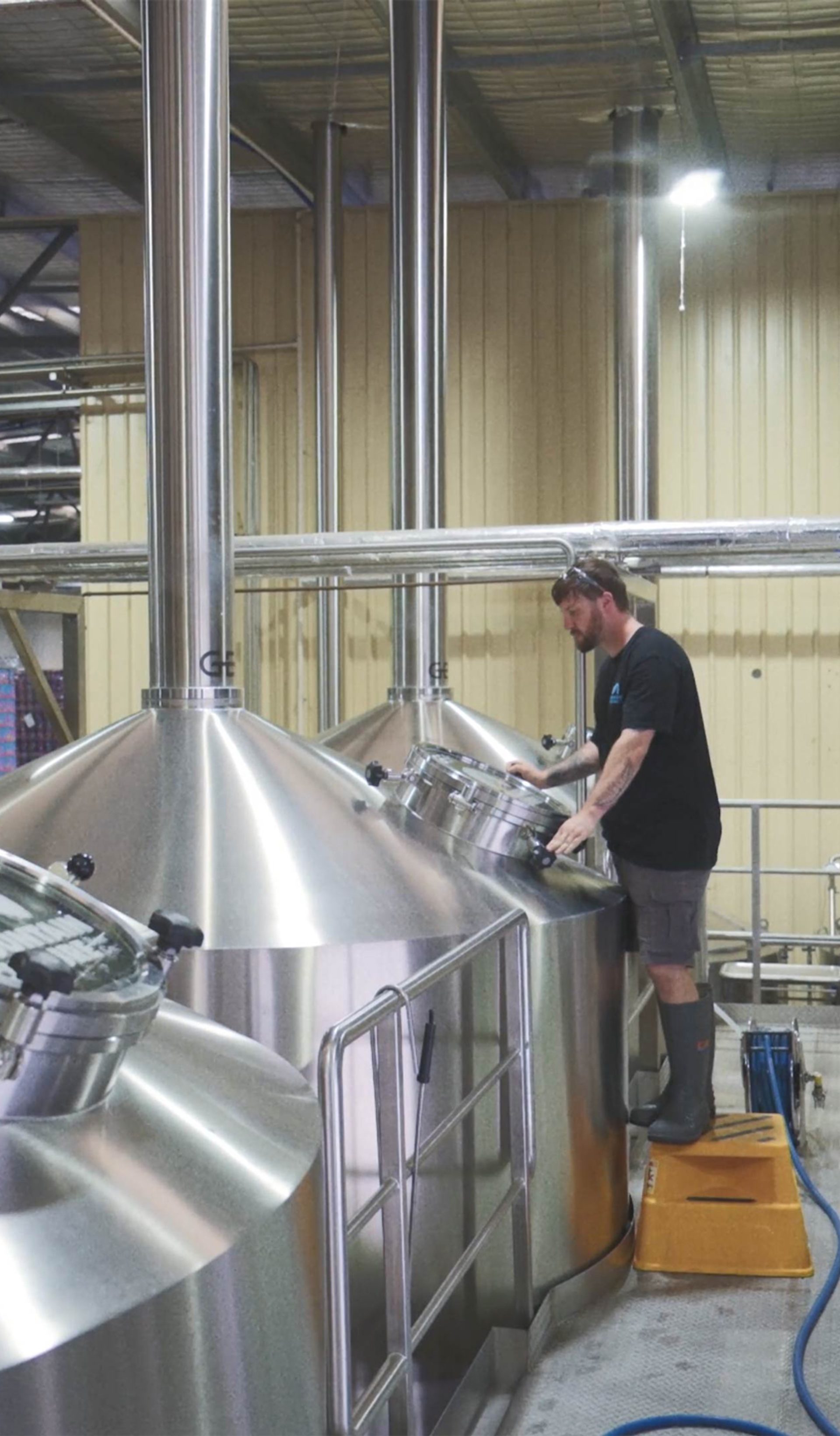 Beer | Mountain Culture