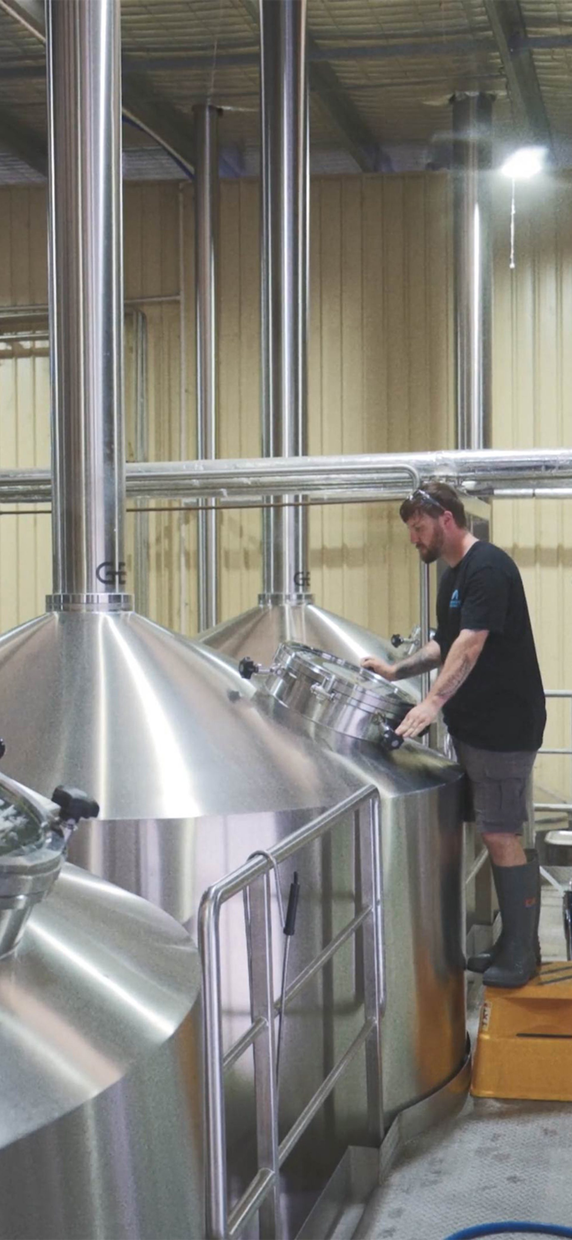 Beer | Mountain Culture