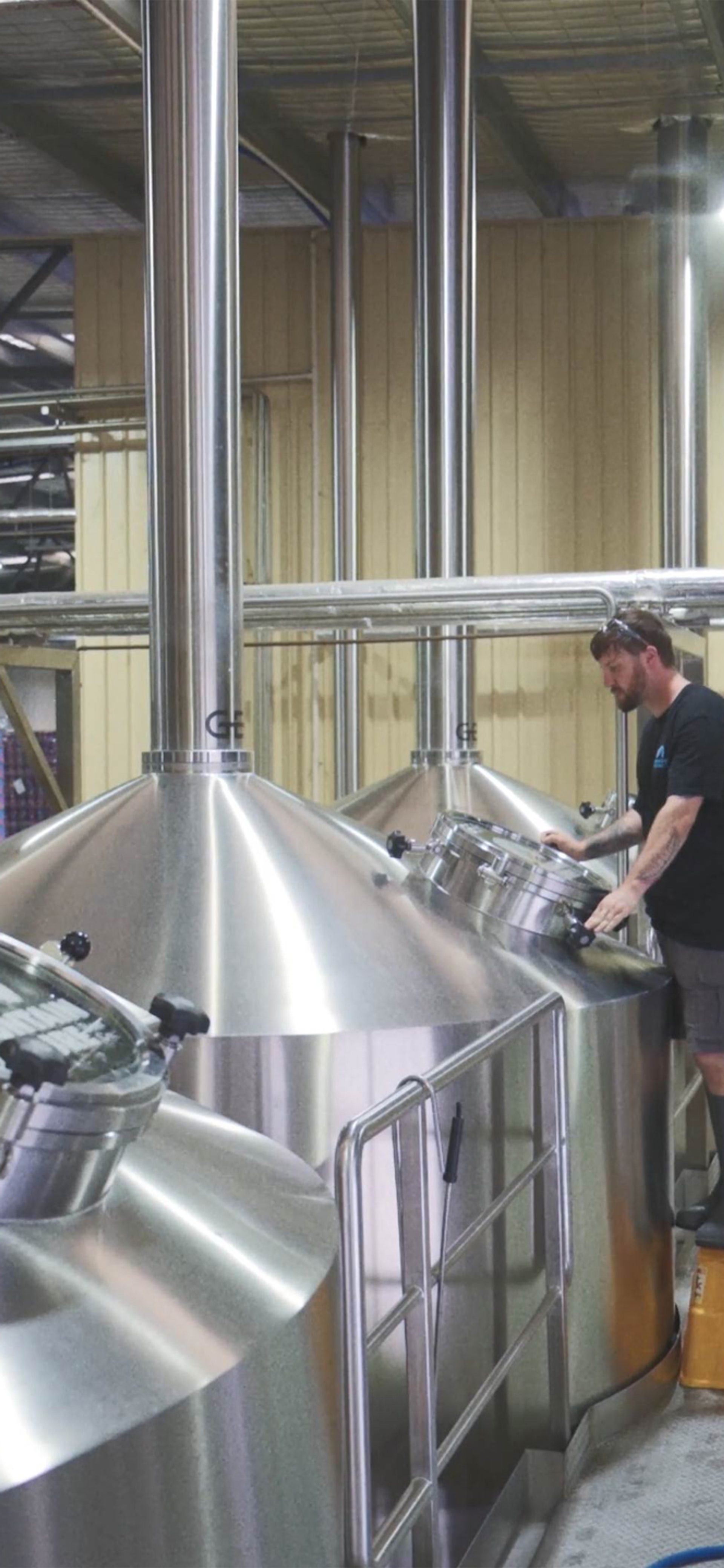 Beer | Mountain Culture