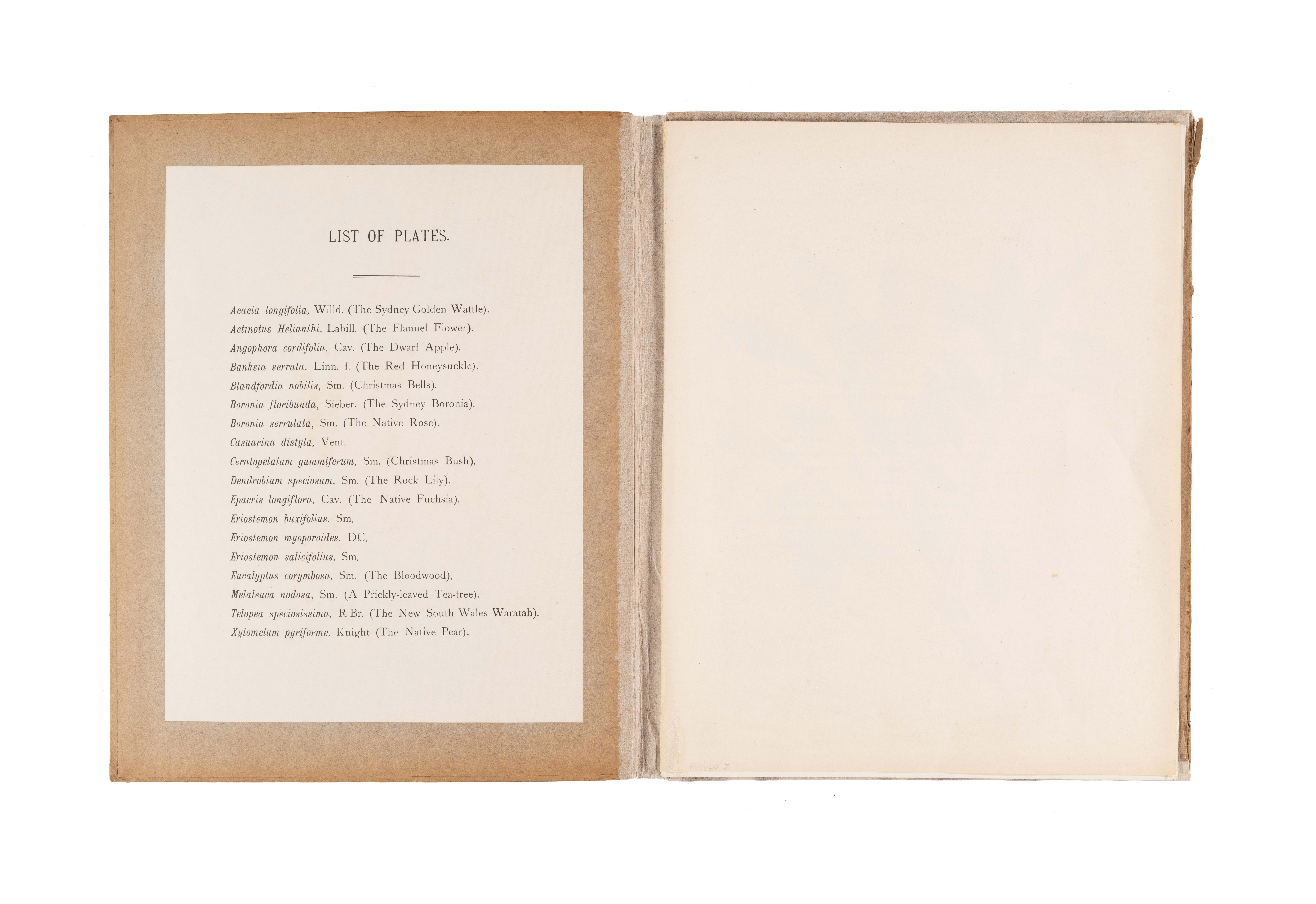 'Native Flora of NSW' Book by J.H. Maiden