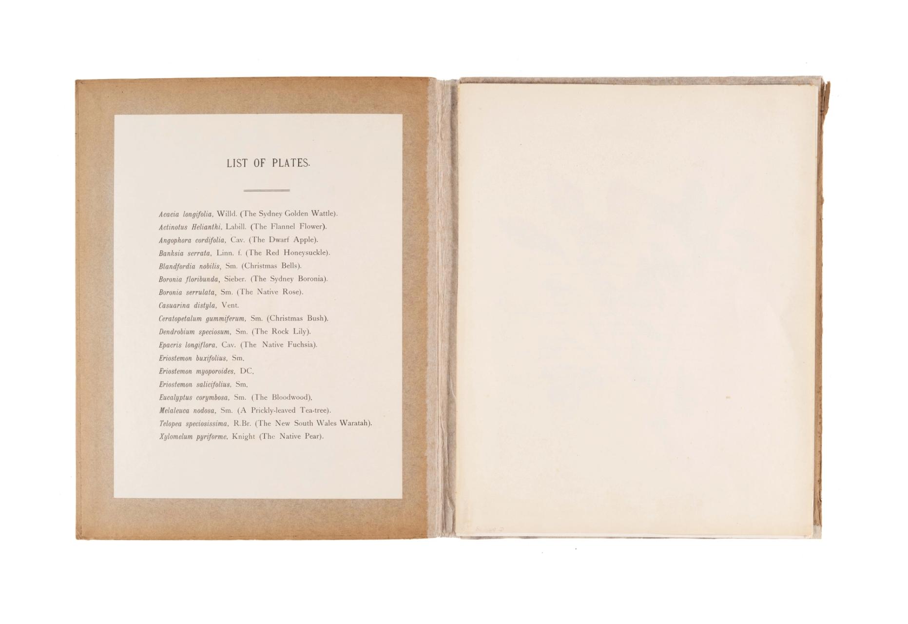 'Native Flora of NSW' Book by J.H. Maiden