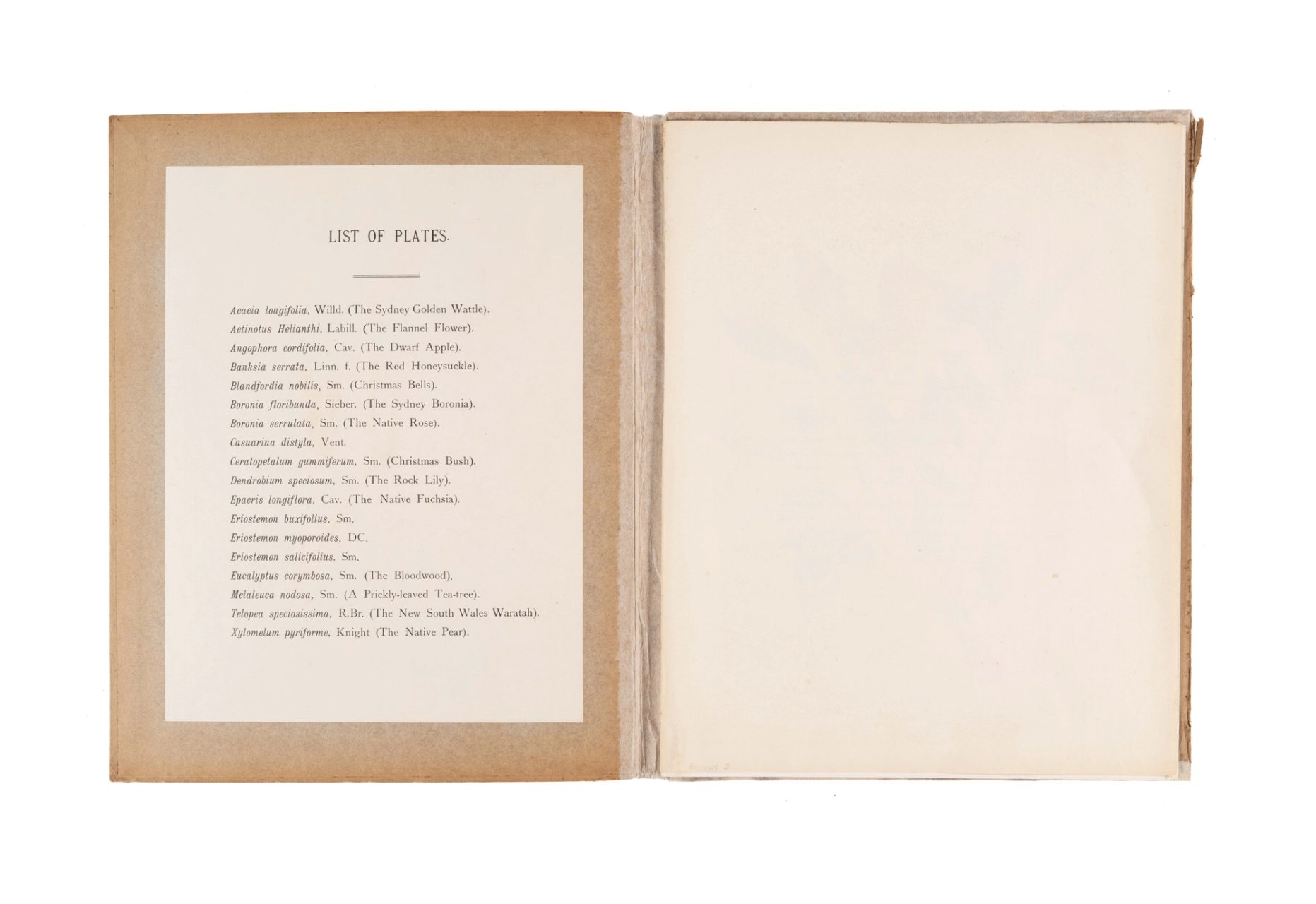 'Native Flora of NSW' Book by J.H. Maiden