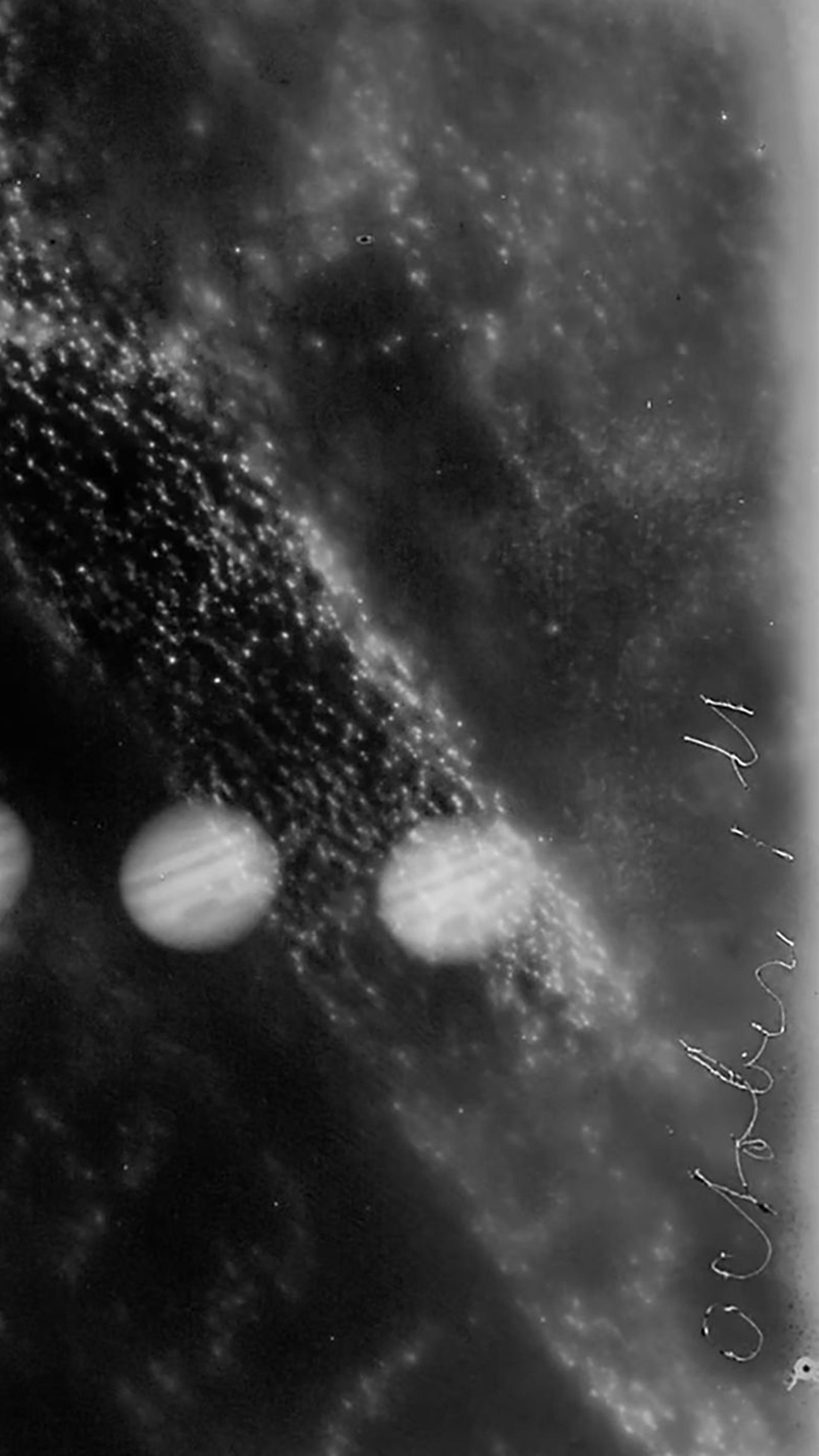 A rectangular black and white silver gelatin glass plate positive showing six images of Jupiter. The original storage envelope accompanies the glass plate.