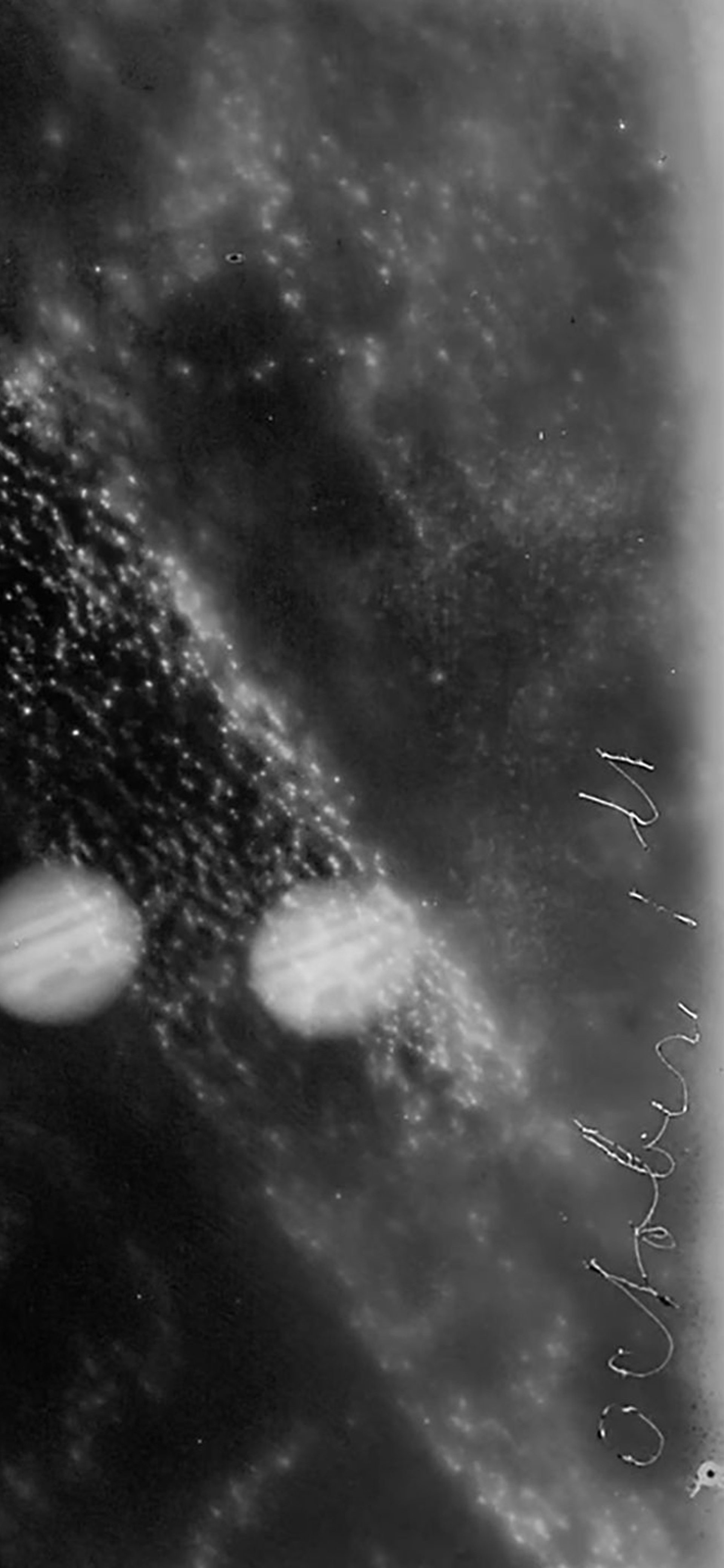 Sky Guide November 2024