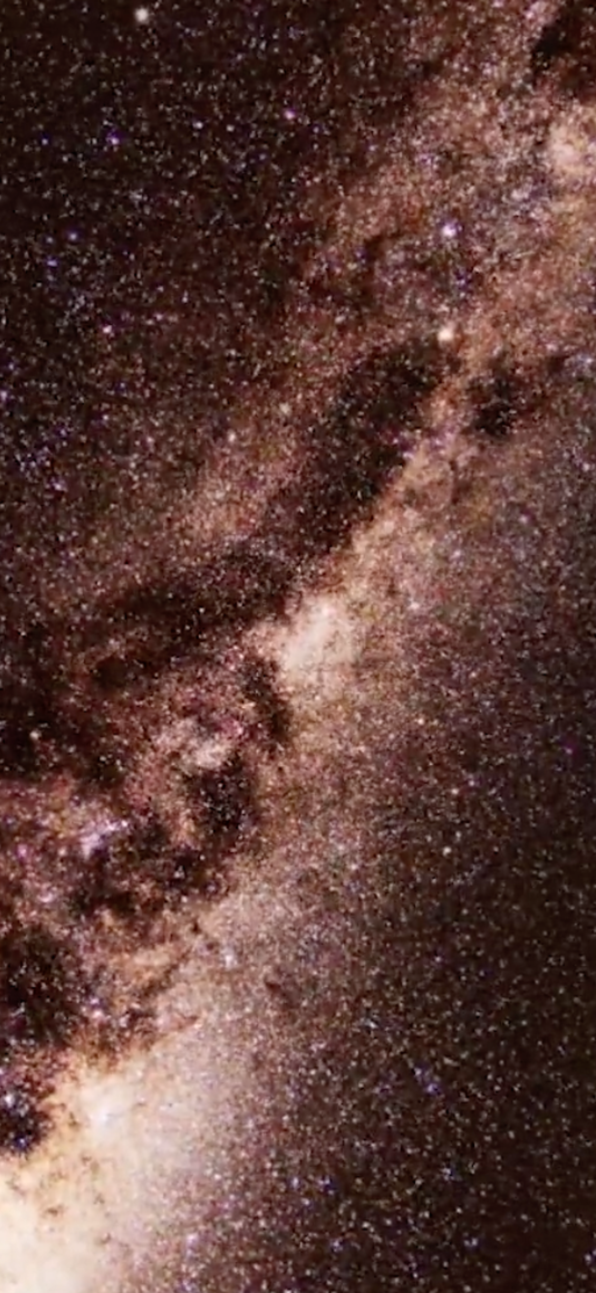 Celestial Emu