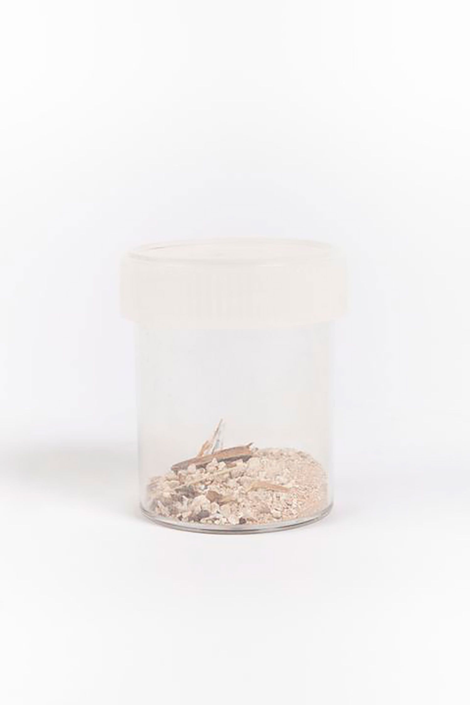 A CLEAR SCREW TOP JAR WITH BEIGE COLOURED SAND AND SOIL DEBRIS.