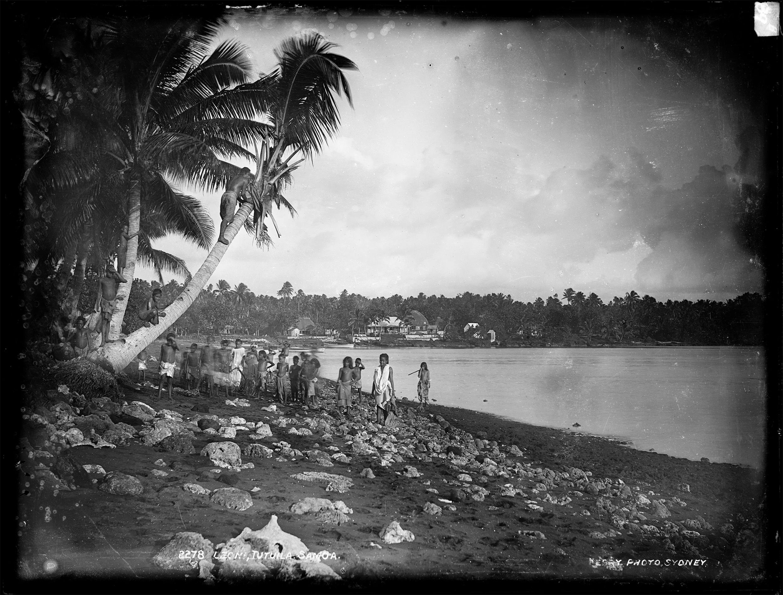 Glass plate negative of Samoa