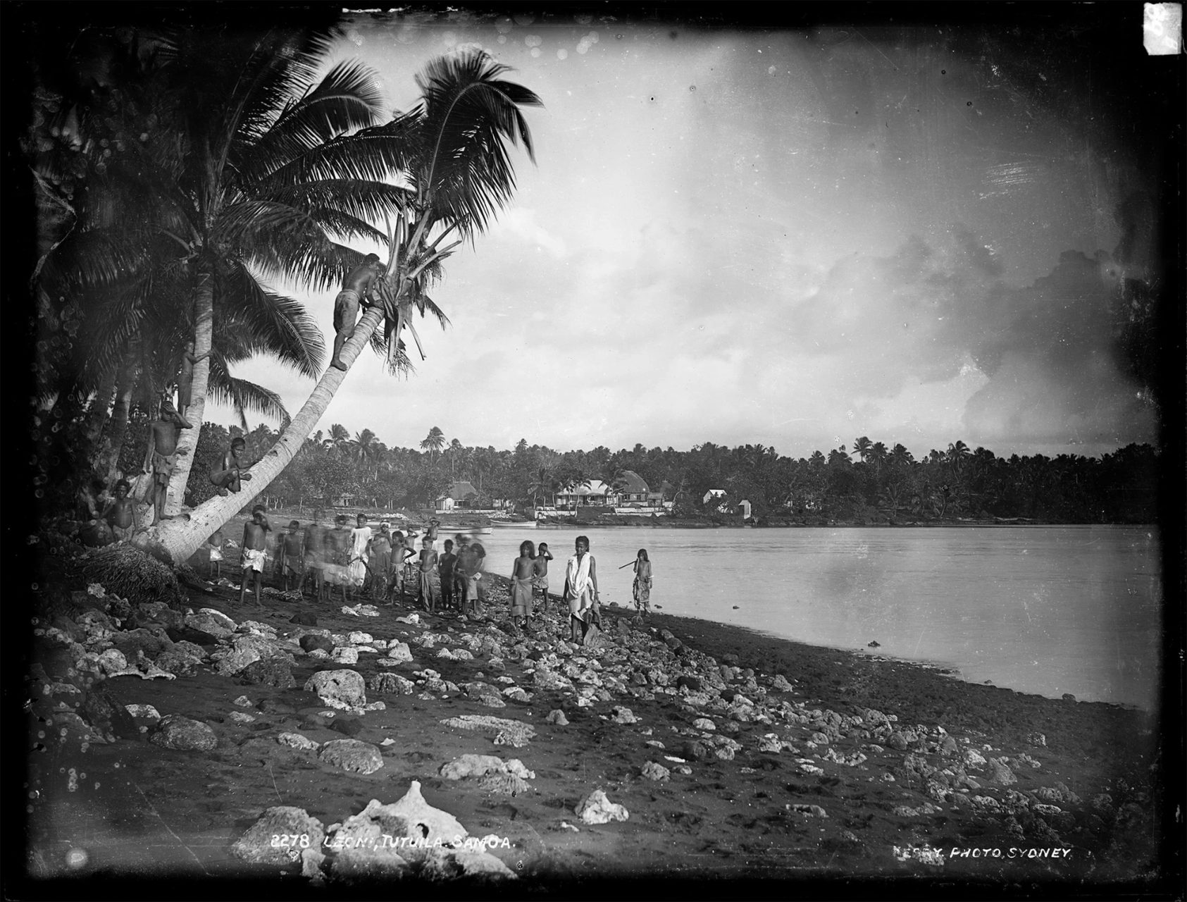 Glass plate negative of Samoa