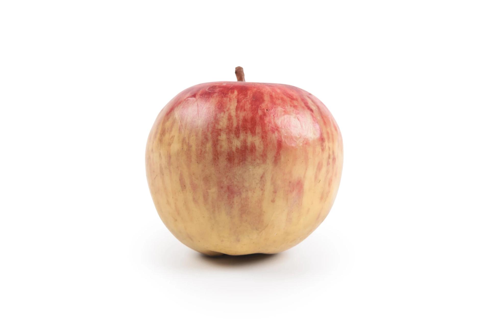 Red wax apple.