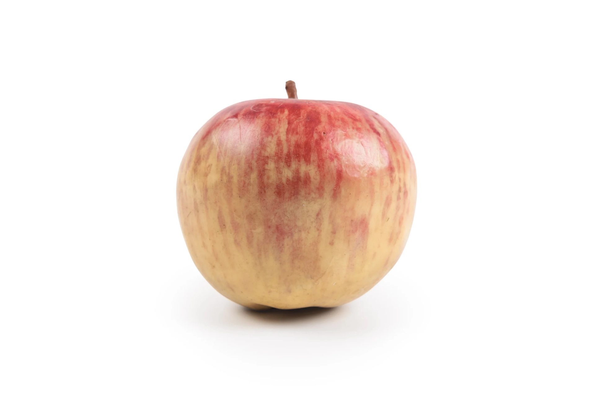Red wax apple.