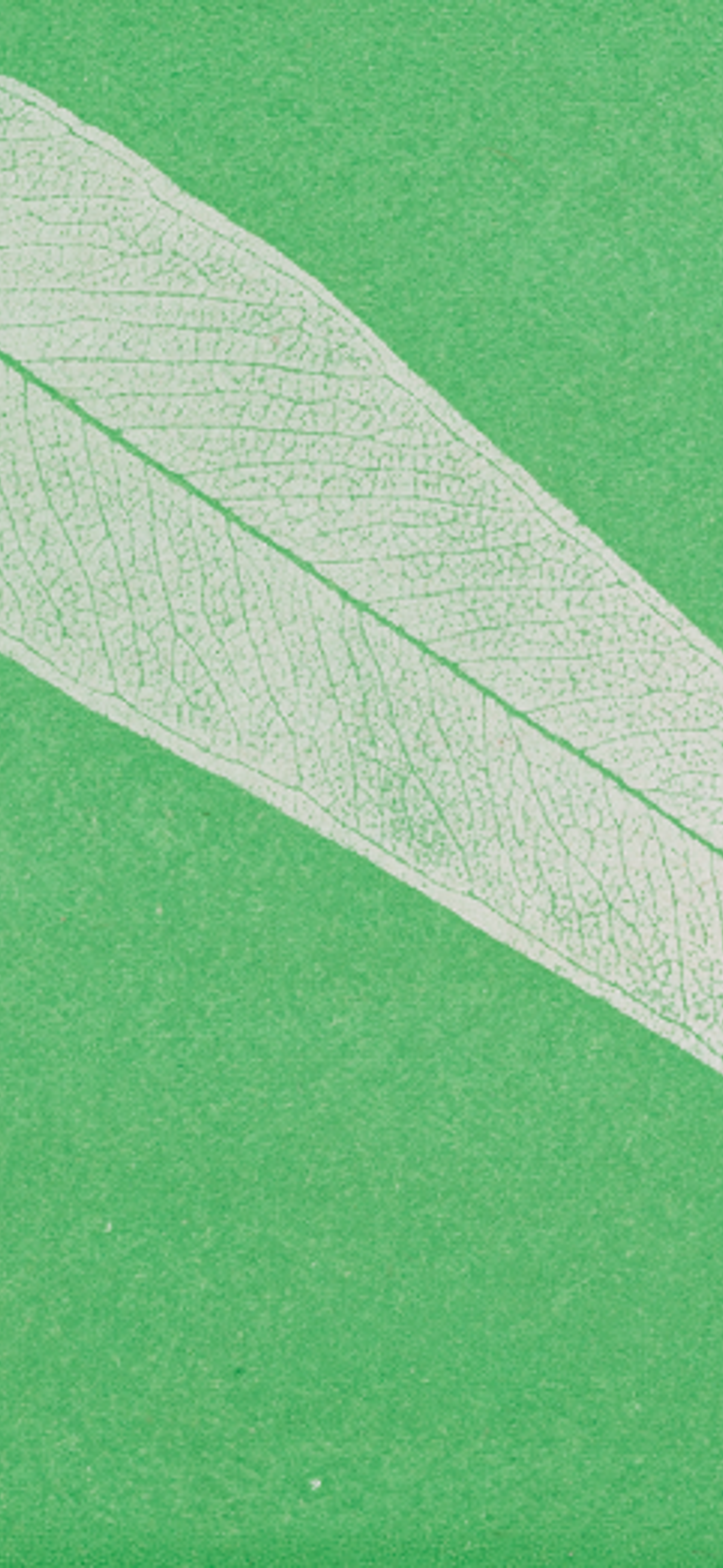 In Relation – Resistance / Resilience