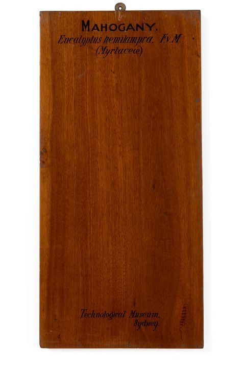 Image of wood sample against white background