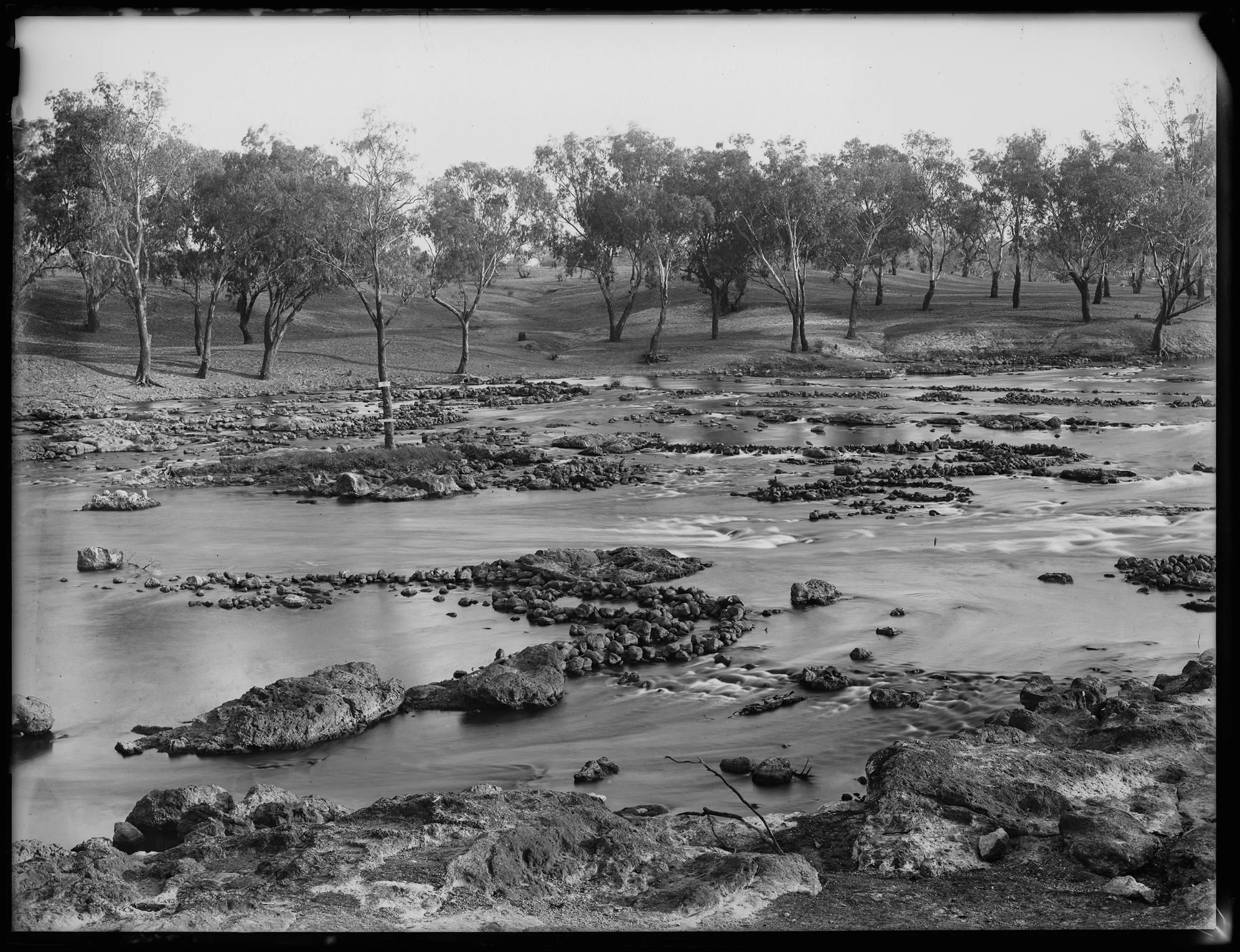 Fish traps in a section of the Darling River.