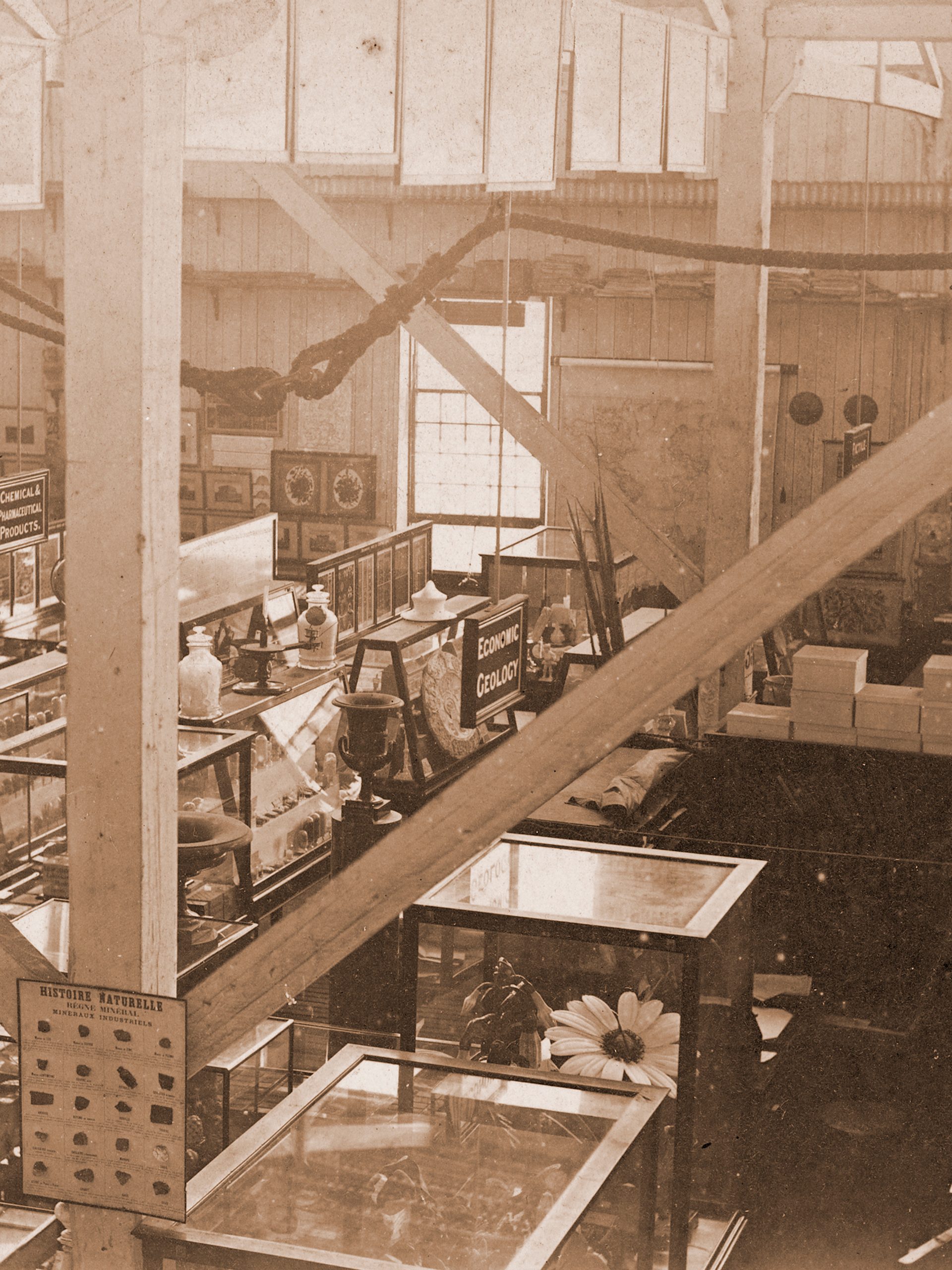 The Technological, Industrial and Sanitary Museum