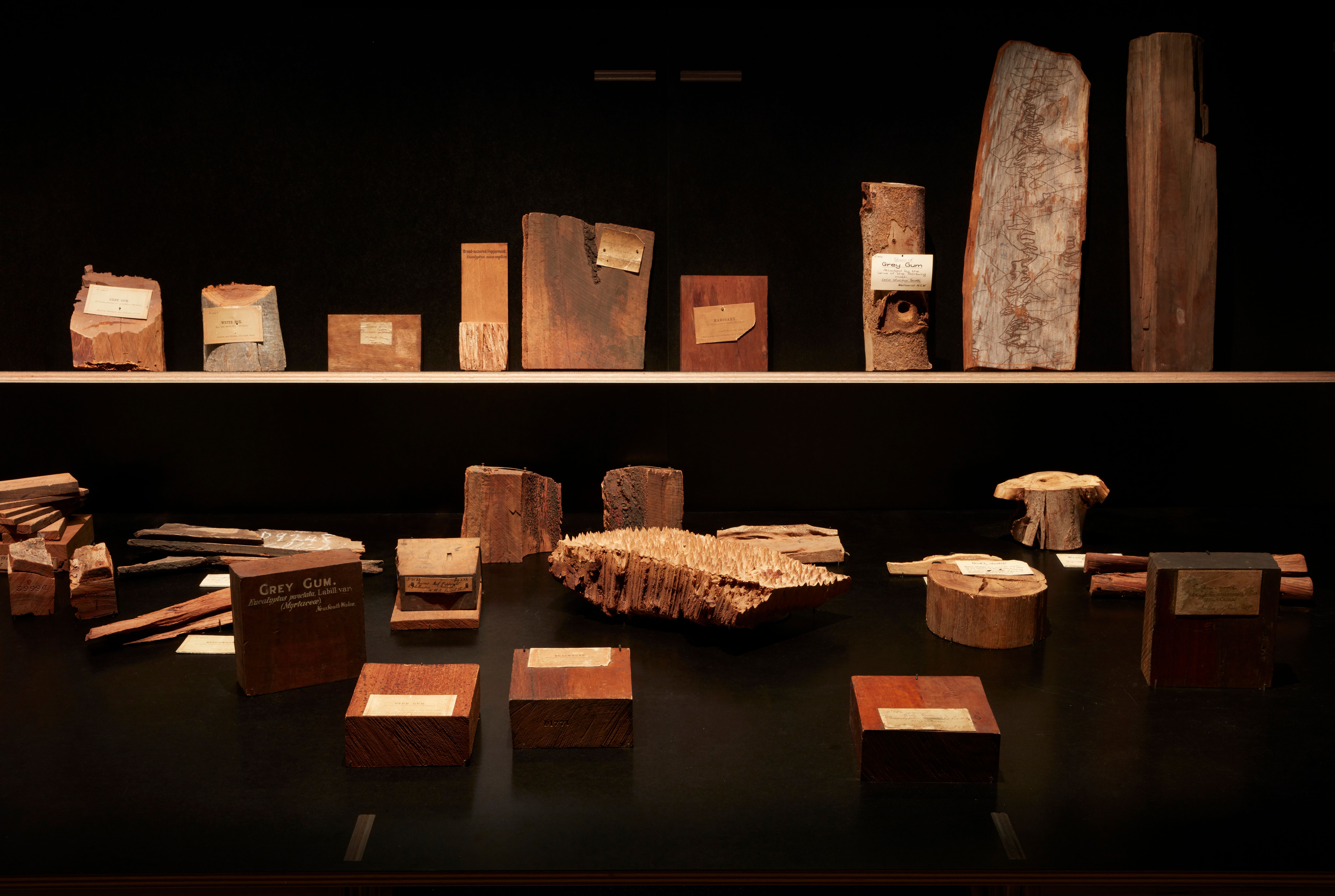 A collection of timbres in different brown shades and shapes laid out on a table with more sitting above on a shelf.