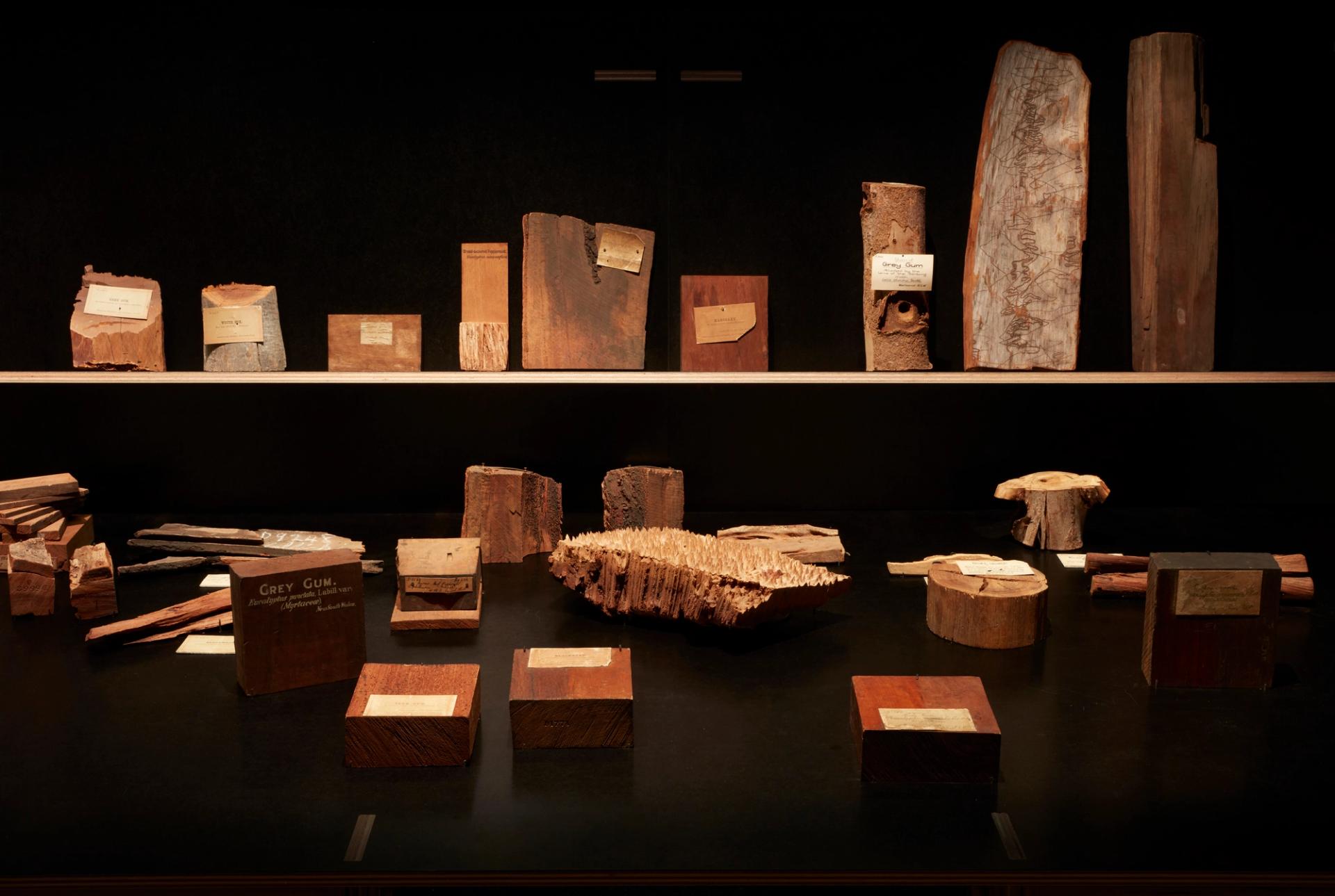 A collection of timbres in different brown shades and shapes laid out on a table with more sitting above on a shelf.