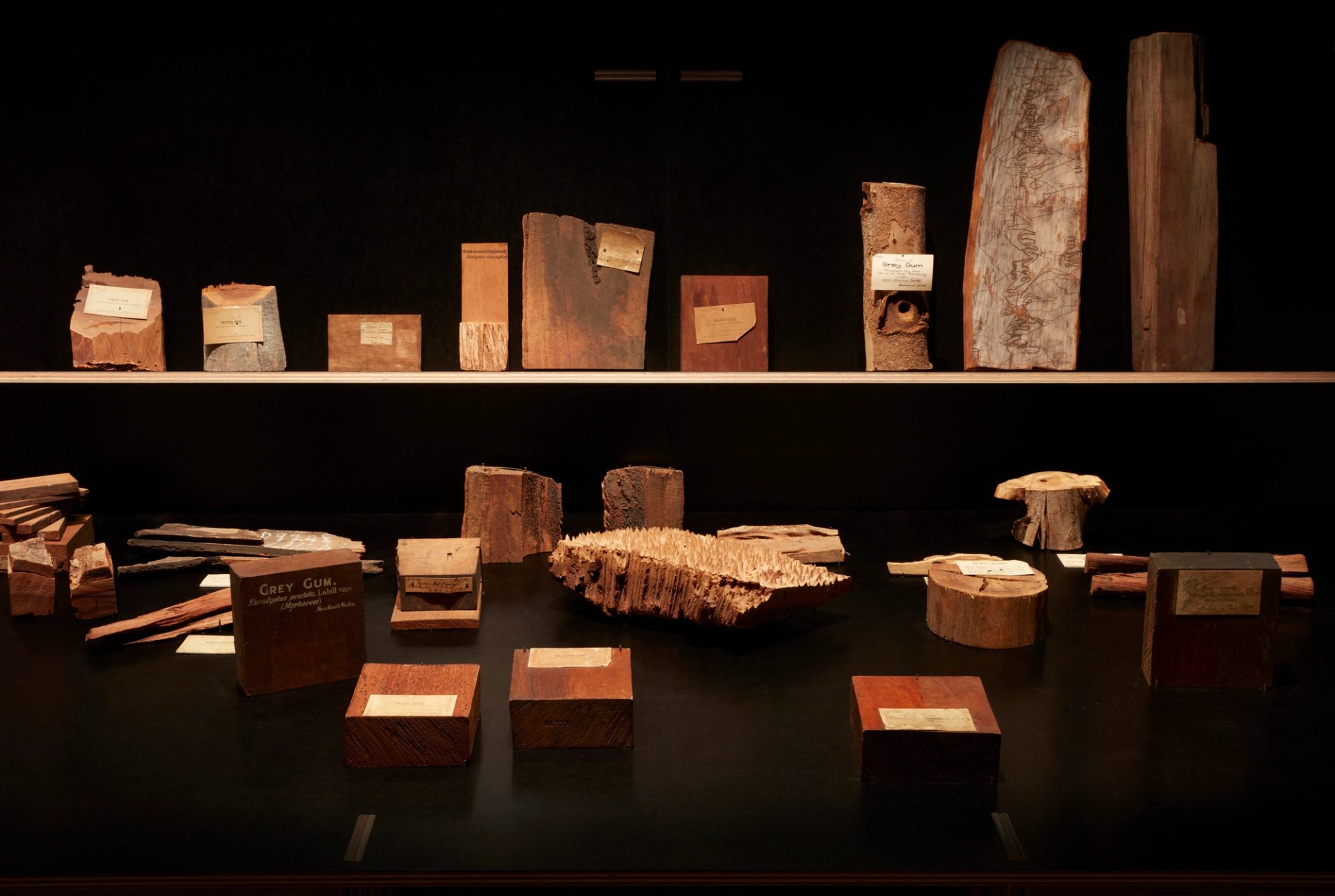 A collection of timbres in different brown shades and shapes laid out on a table with more sitting above on a shelf.