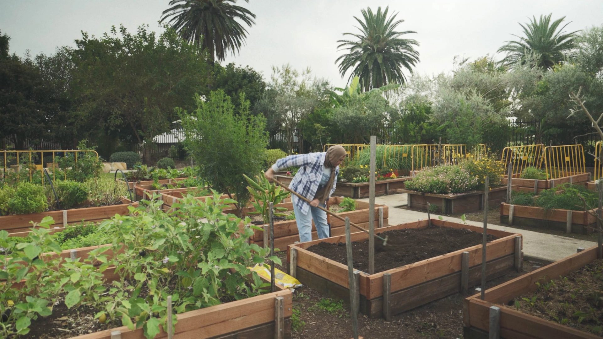 Market Gardeners