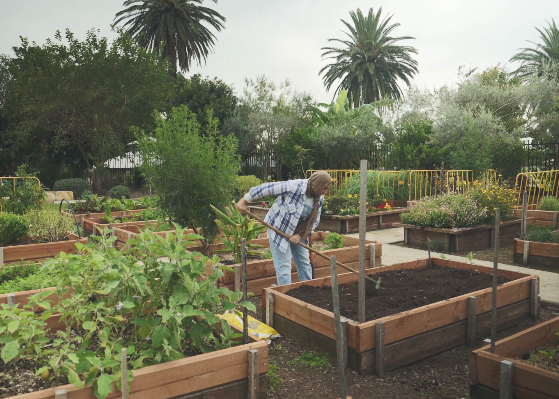 Market Gardeners