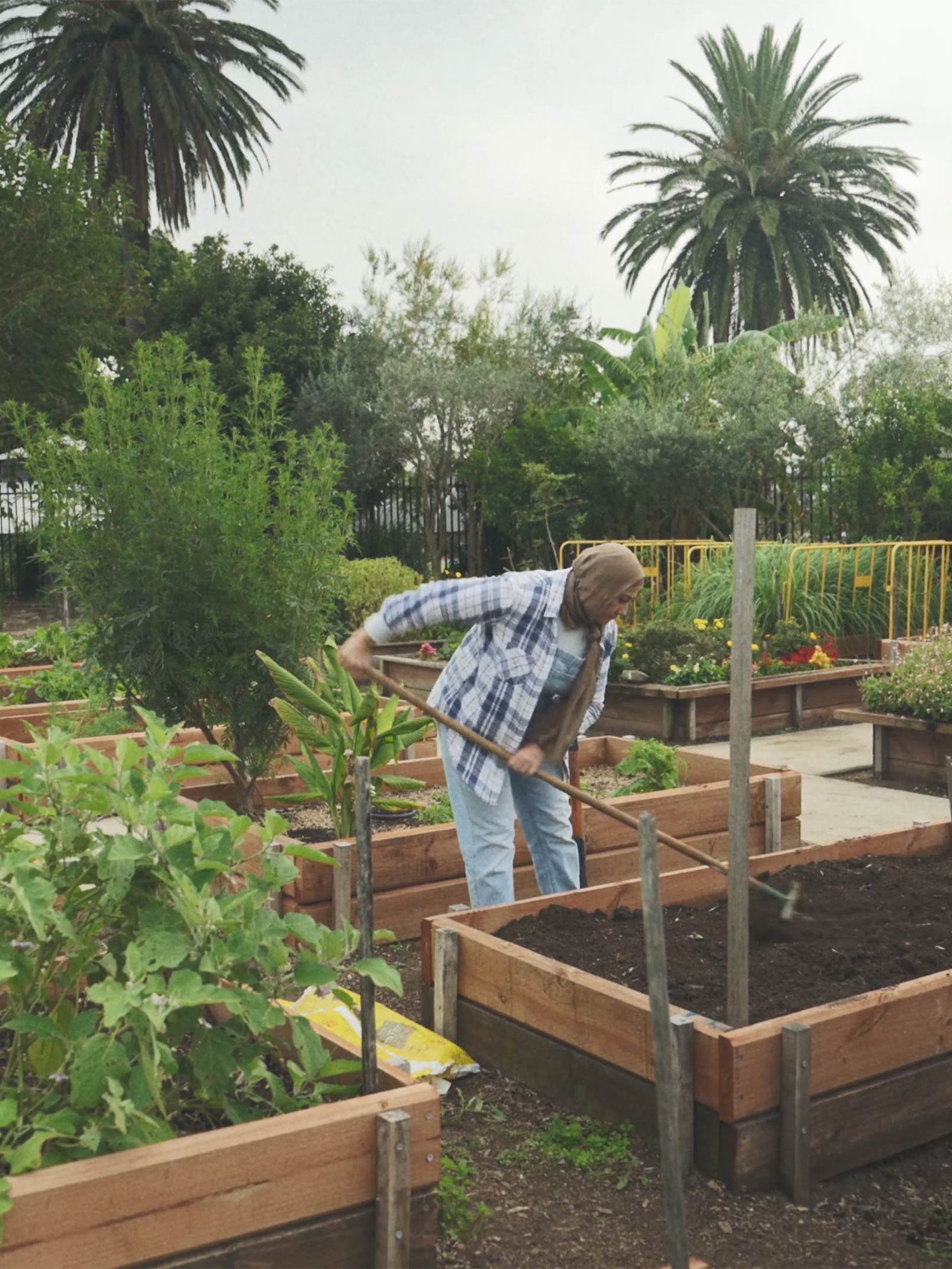Market Gardeners